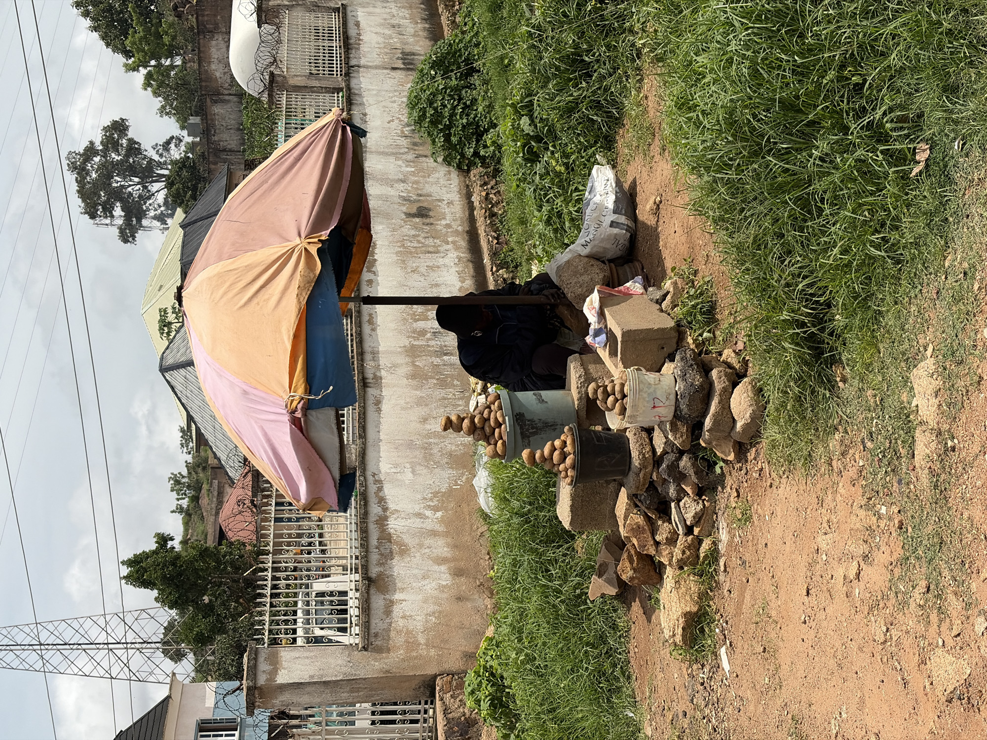 A person is sitting under a multi-colored umbrella at a roadside stall in Gura Top, Nigeria. The stall is set up with several buckets and piles of potatoes. The person, dressed in dark clothing, is seated on the ground next to some bags and stones. Behind the stall is a weathered wall with a white fence in front of it. Beyond the fence, buildings, trees, and a telecommunications tower are visible. The ground in front of the stall is covered in red dirt and scattered rocks, with green grass growing on the sides.