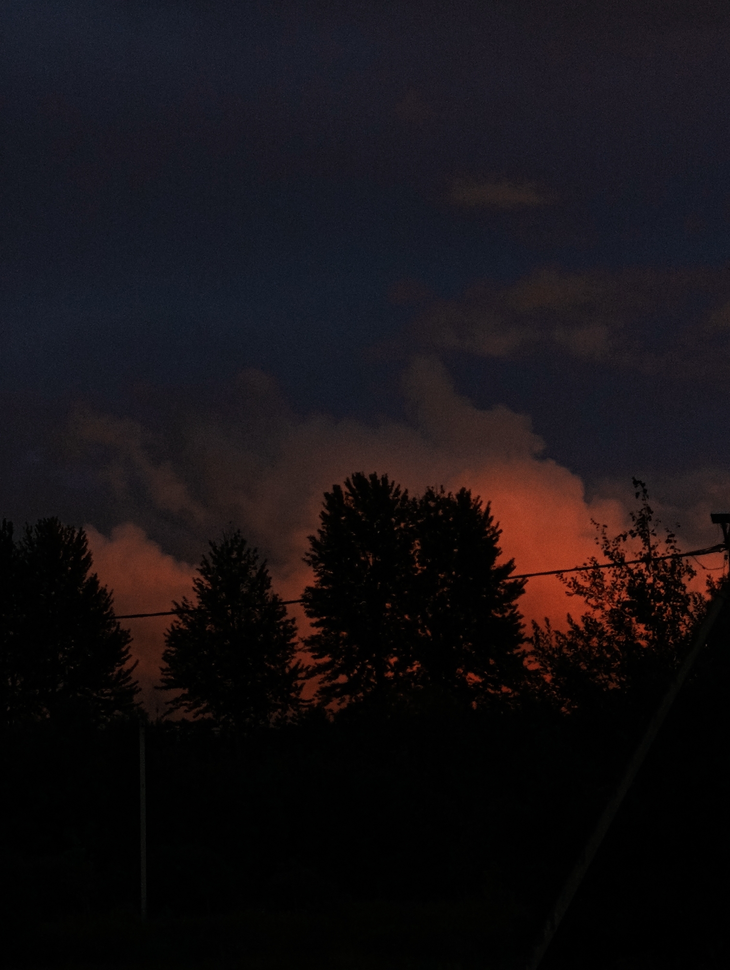 This is a vertical, dimly lit photograph of trees silhouetted against a twilight sky. The sky is a deep, dark blue with streaks of fiery orange and pink clouds, suggesting a sunset. Several evergreen trees, their branches dense and dark, are visible in the mid-ground, forming a line across the frame. Some deciduous trees with sparser foliage are also present, their branches more intricate against the illuminated clouds. In the foreground, the ground and lower portions of the trees are completely black, lacking detail. A thin, horizontal line, possibly a wire or fence, stretches across the image in front of the trees. To the far right, a portion of a utility pole or similar structure is visible. The image has a grainy texture. The location is not discernible from the visual information provided in the image.