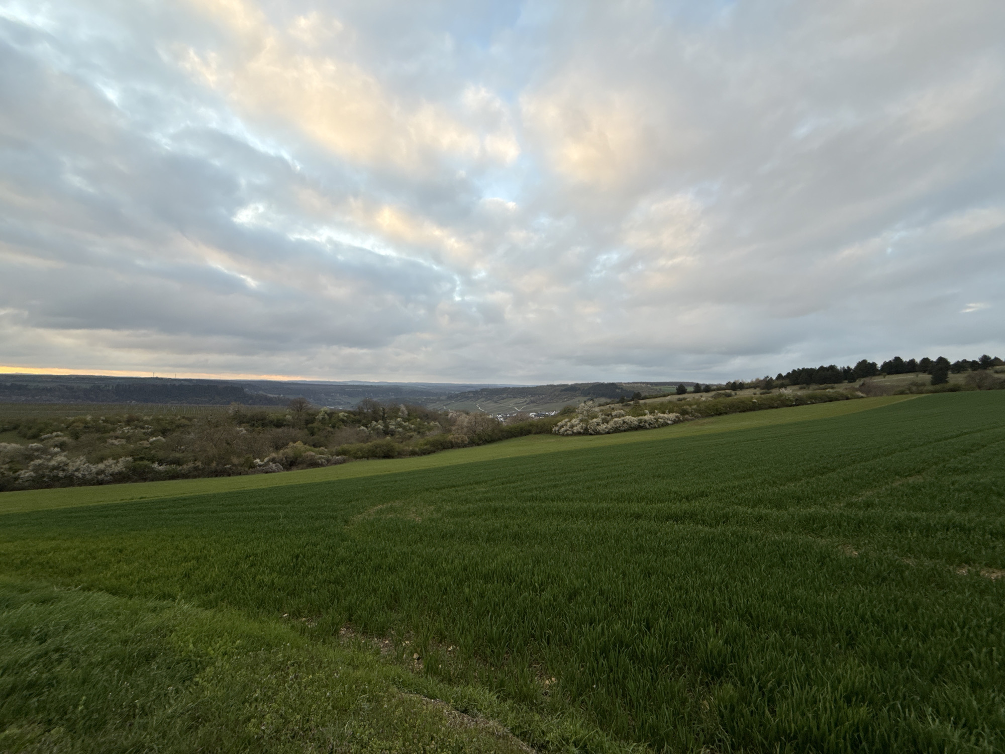 A landscape featuring a large, green field in the foreground with rolling hills and sparse vegetation in the mid-ground. In the background, a settlement with buildings and trees is visible in the distance, beneath a cloudy sky that covers most of the upper half of the image. The time of day appears to be late afternoon or early morning due to the soft lighting.