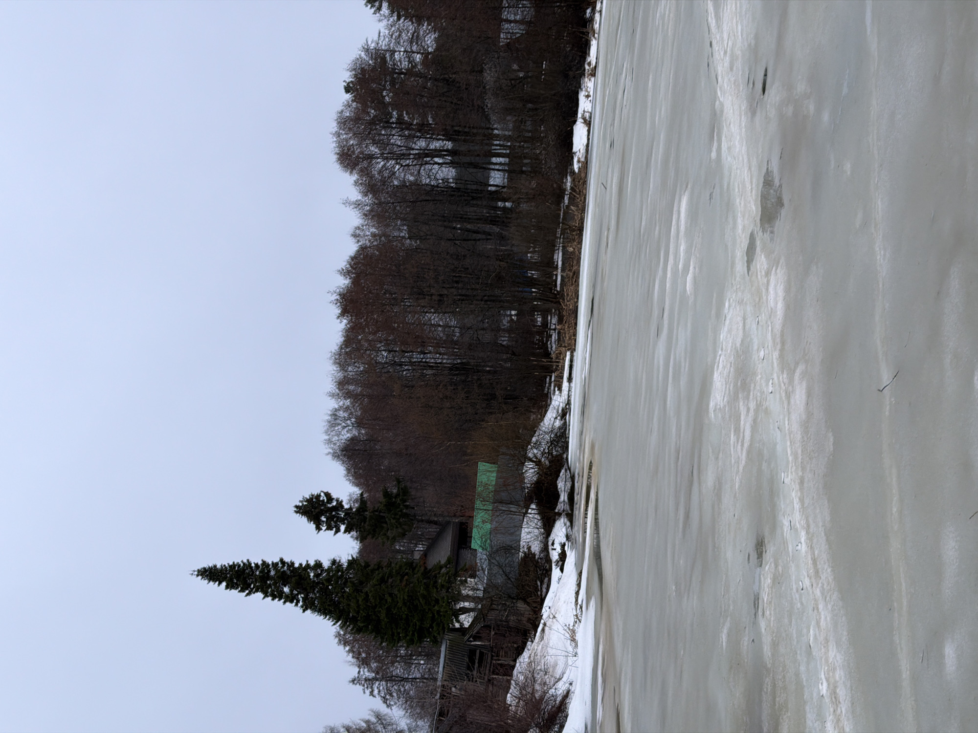 The image shows a frozen body of water, possibly a river or lake, with a shoreline visible on the left. A dense cluster of bare trees lines the shore, interspersed with evergreen trees and small buildings. The sky is overcast and grey. The frozen water is mostly white and shows surface imperfections or frozen patterns. Based on the description of being in the city of Chaikovsky, Russia, this scene could be a view of the Kama River or another body of water in the area during winter. There are no people visible.