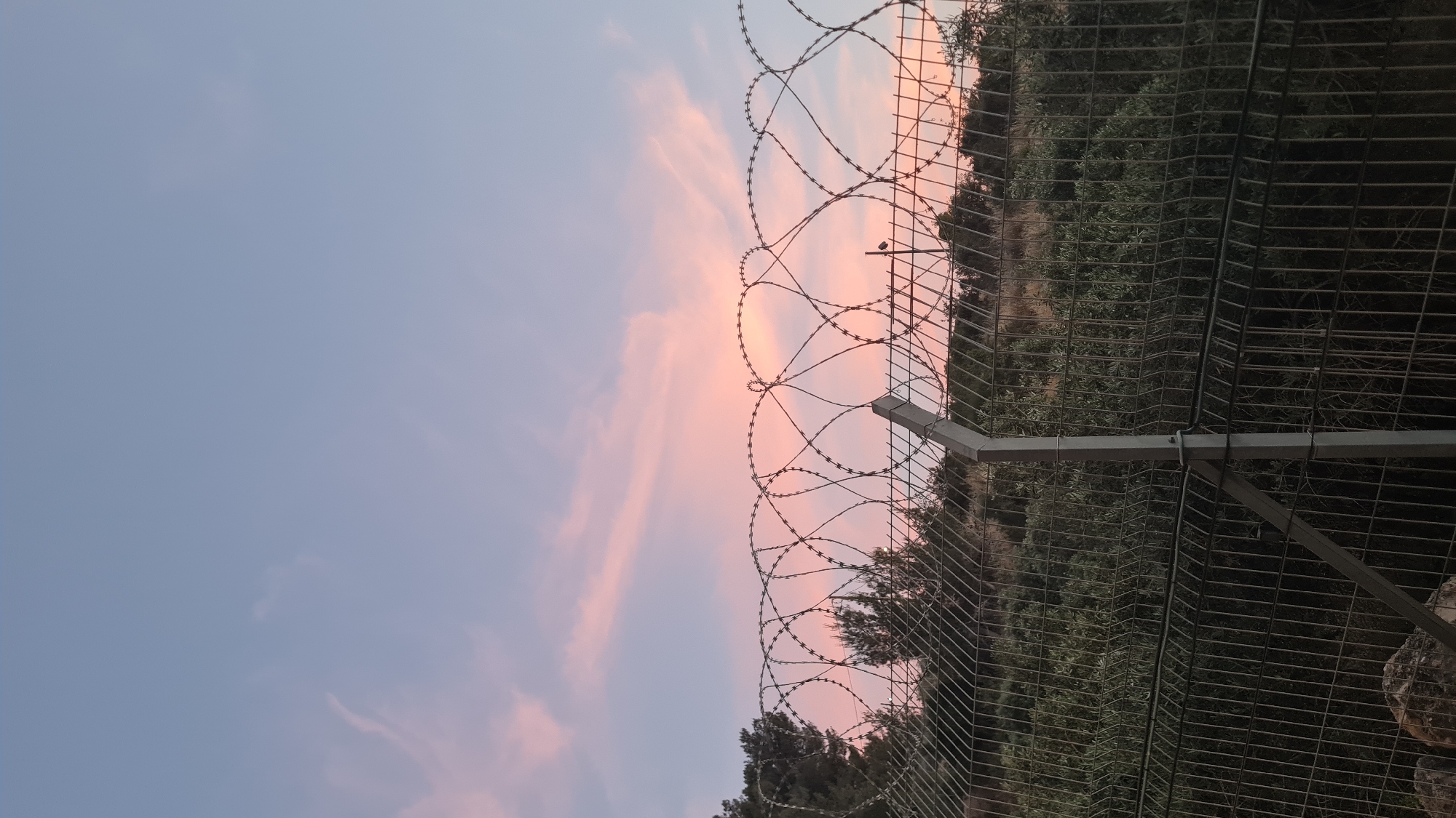 A low-angle, vertical photograph shows a metal fence with a barbed wire top against a twilight sky. The sky is a mix of blue and pink hues. Behind the fence is foliage. The location is Lachish Regional Council, Israel.