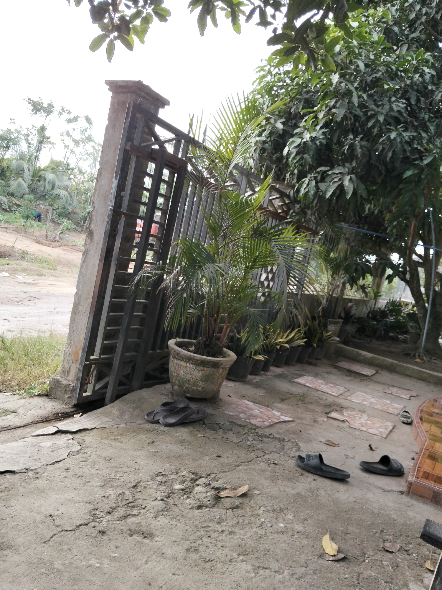 A scene in Payagaboh, Indonesia, depicts an outdoor area with a tilted concrete gate post and a metal gate. In front of the gate, a potted palm tree stands on a concrete path paved with rectangular tiles. Several pairs of black flip-flops are scattered on the ground: one pair near the potted plant, another pair to the right of the path, and a single flip-flop further to the right. The ground is made of cracked concrete and dirt. In the background, a person in a green shirt is visible working on a dirt slope, and lush green trees and vegetation surround the area. The sky is overcast.