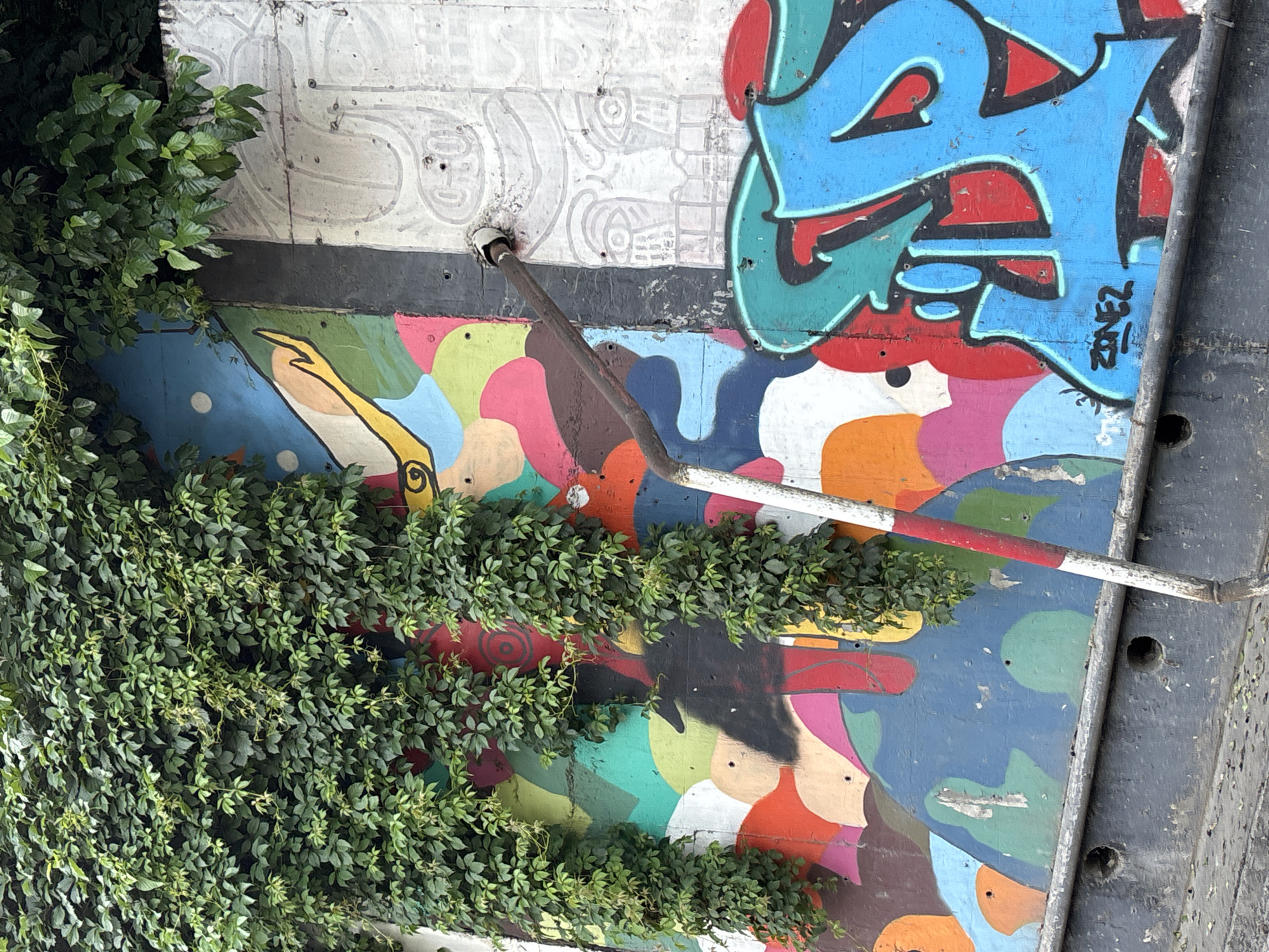 The image shows a section of a concrete wall in Tbilisi, Georgia, covered with vibrant, abstract graffiti and overgrown with green ivy. The graffiti features a variety of colorful shapes and patterns, including a partially visible hand with a yellow-orange hue, white circles on a blue background, and large blue letters with red and black accents. There is also a sketch of a face in grey on the right side of the wall. A metal pipe with a red and white striped pole extending from it is attached to the wall. The overall impression is one of urban decay and artistic expression, with nature reclaiming man-made structures.