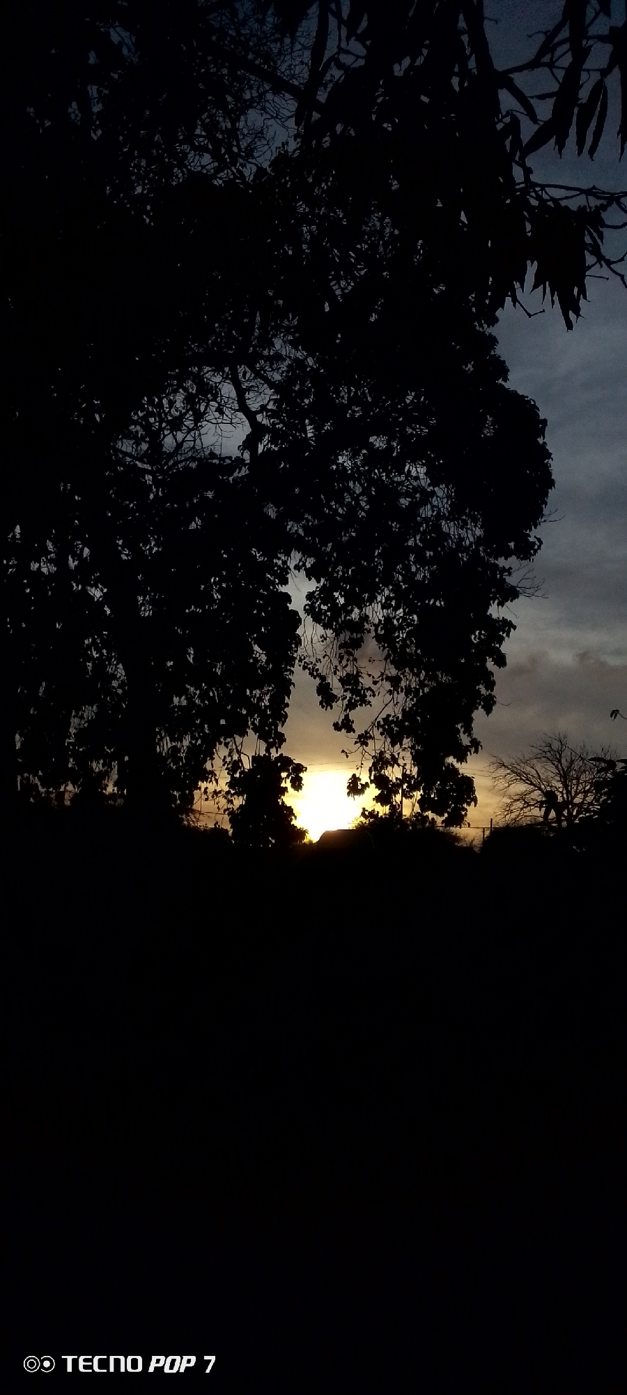 The image displays an outdoor twilight scene, likely at sunrise or sunset, characterized by strong silhouettes against a transitioning sky. Dense foliage from large trees dominates the upper and mid-sections of the frame, rendered in deep black against the fading light. These trees frame a bright, glowing orb of light on the horizon, casting warm yellow and orange hues into the lower sky. Above this, the sky transitions to a soft blue-grey, with visible cloud formations. The immediate foreground is completely dark, obscuring any ground details. To the right, another silhouetted tree with bare branches is visible in the distance. The overall setting suggests a natural, possibly rural or semi-rural landscape, evoking a sense of peaceful contemplation. The bottom left corner of the image contains a camera watermark: "© TECNO POP 7". The scene is located in Altagracia, Venezuela.