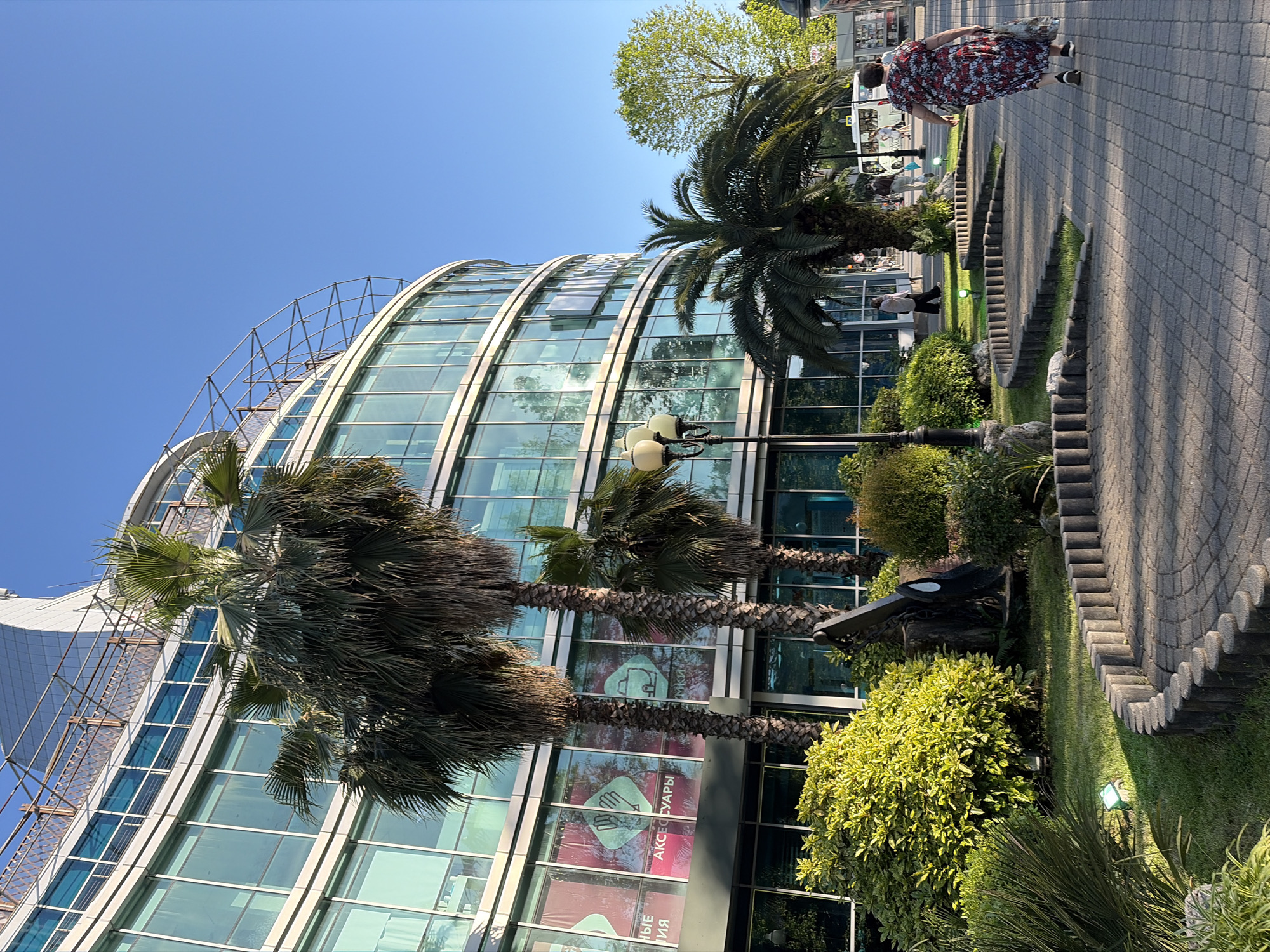 This detailed image captures an outdoor scene in Sochi, Russia, specifically depicting a section of the **Grand Hotel Zhemchuzhina** complex and its immediate surroundings.
The central feature is a large, modern, multi-story building with a distinctive curved facade, predominantly clad in light blue-tinted glass panels framed by a silver-toned structure. On the ground floor, large windows display advertising banners in pink and teal, featuring Cyrillic text such as "АКСЕССУАРЫ" (Accessories) and "СУМКИ" (Bags), accompanied by iconic graphics for gloves and a handbag. The rooftop of the building is adorned with an open, intricate metal lattice structure.
In front of the building, several tall palm trees with rough, segmented trunks and dense green fronds are prominently positioned. A smaller, wider palm tree stands closer to the paved walkway on the right. The landscaping includes lush, variegated green bushes in the foreground and various dark green shrubs throughout the scene. A large deciduous tree with bright green foliage is visible further in the background on the right.
A paved walkway, constructed from light grey square pavers, winds through the foreground and mid-ground. It features a distinctive curvilinear border made of vertical, rounded segments, separating the path from well-manicured green grass. Several small, green-cased ground lights are embedded in the grass along this border. Within the green space, a large black industrial anchor sculpture with a chain is partially visible, nestled among the bushes. A vintage-style black street lamp with two globes stands near the path.
On the walkway in the foreground, a person is walking away from the viewer, dressed in a long, flowing dress with a red, white, and black floral pattern, carrying a light-colored bag in their left hand. Other less distinct individuals are visible further down the path and on a distant grassy area to the left. A white bus or shuttle is visible in the background, along a street to the right.
The scene is bathed in clear, bright natural light, casting distinct shadows on the ground, suggesting either early morning or late afternoon. The sky is uniformly clear and blue, occupying the upper right portion of the image.