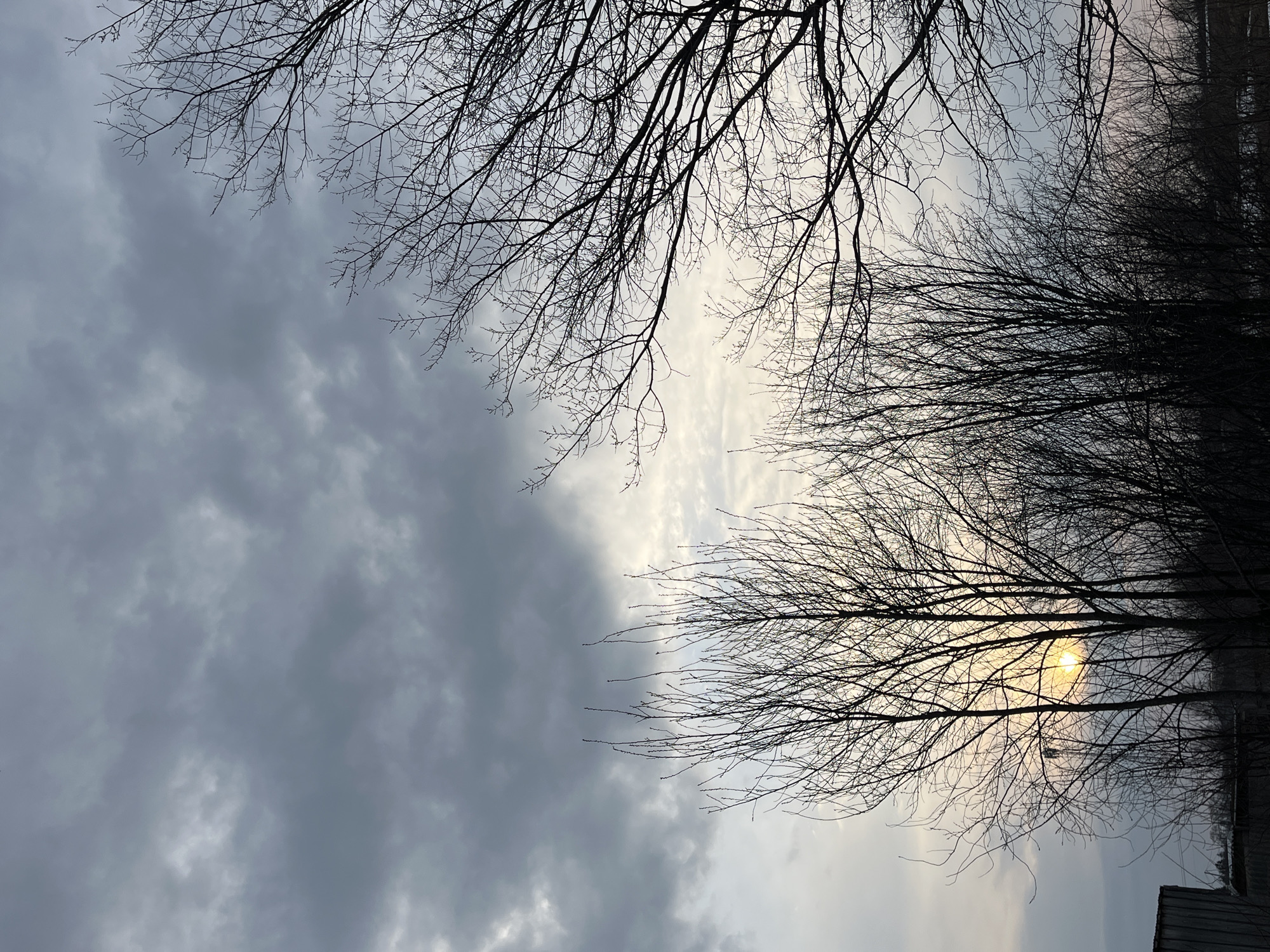 The image shows a sky with a mix of gray clouds and a pale, bright area peeking through, possibly indicating the sun. In the foreground, silhouetted tree branches, devoid of leaves, are visible, extending across the top and right side of the frame. Some branches appear denser and closer to the right, while others are thinner and more sparse towards the top left. The bottom right edge of the frame hints at a structure, possibly a building or fence, also in silhouette. There is no indication of the location being Павловка, Russia.