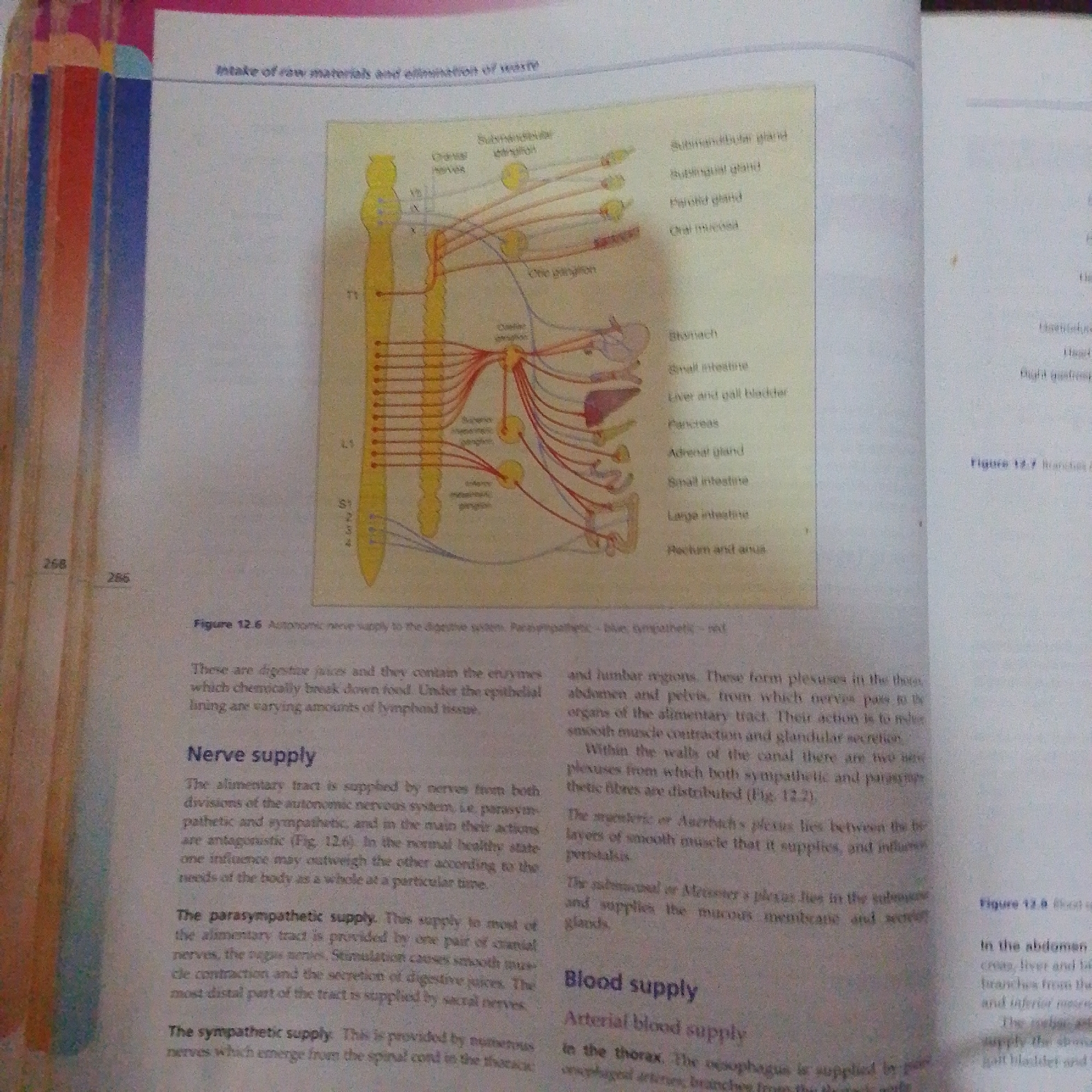 The image is a photograph of an open textbook. The textbook pages display anatomical diagrams and accompanying text, focusing on the nervous and circulatory systems.
On the left page, a diagram illustrates the autonomic nerve supply to the digestive system, with various nerves and ganglia labeled. The text below the diagram discusses nerve supply to the alimentary tract, differentiating between parasympathetic and sympathetic innervation. Page numbers "268" and "285" are visible at the bottom of the left page.
The right page shows a diagram illustrating branches of the aorta. Text to the left of this diagram describes arterial blood supply to the thorax and abdomen, mentioning arteries supplying the esophagus, pancreas, liver, and intestines. Another section discusses blood supply to the gut, including mesentery and submucosa.
The overall setting appears to be a study or educational environment, possibly a library or a classroom, given the presence of a textbook. The lighting suggests an indoor setting, likely during the daytime. There are no people or explicit location cues to suggest Jalingo, Nigeria. The content is purely educational and scientific.