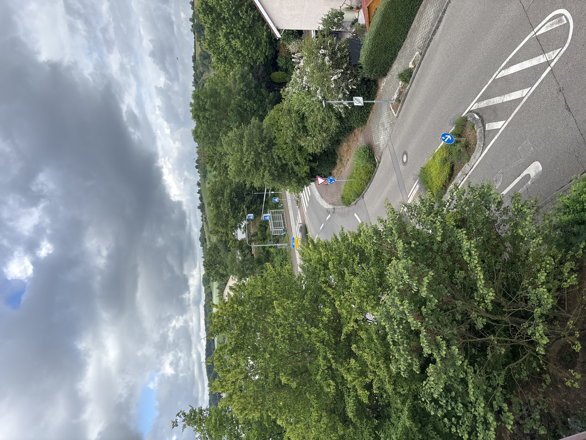 The image presents an elevated view, likely from a window or balcony, overlooking a street and a landscape dominated by lush greenery under a cloudy sky. The photograph is oriented vertically, with the sky on the left side and the ground, road, and buildings on the right.
The left side of the image is filled with a dynamic sky, characterized by dark grey, heavy clouds suggesting an overcast or possibly rainy day, interspersed with lighter grey areas and small patches of blue sky peeking through.
The right side of the image features a winding asphalt road that slopes downwards from the upper right towards the lower left. The road has clear white markings, including a pedestrian crosswalk, solid white lines along the edges, and a prominent large striped area indicating a traffic island or median. Several traffic signs are visible along the road: a triangular "Yield" sign with a red border, a blue circular sign indicating a roundabout, another blue circular sign with a white arrow instructing traffic to pass on the right, and a white square sign displaying a circular "30" indicating a speed limit zone. Other blue signs are partially visible further down the street, and a yellow diamond-shaped sign is partially obscured.
Adjacent to the road and extending into the background is abundant vegetation. Numerous trees with dense green foliage are prominent, with some appearing as a dense forest in the distance and others scattered closer to the road. Hedges and planted areas line the roadside. A portion of a building with a light-colored facade and a brown roof or eaves is visible in the upper right corner, partially obscured by trees. One tree near this building has visible white blossoms.
No people or vehicles are visible, and no specific activity or event is taking place, presenting a static, everyday scene. The visible text is the number "30" on the speed limit sign.