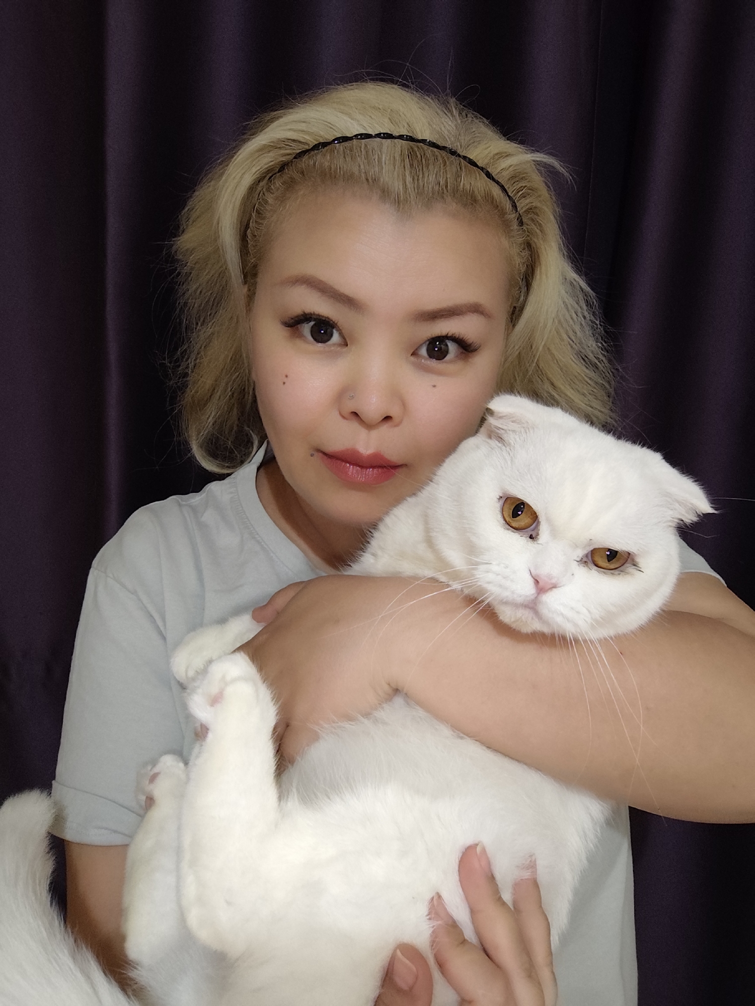 A woman with blonde hair and a black headband holds a white cat. The cat has amber eyes and is lying on its back. The woman is wearing a light gray t-shirt. A dark purple curtain is in the background. The location is unknown.