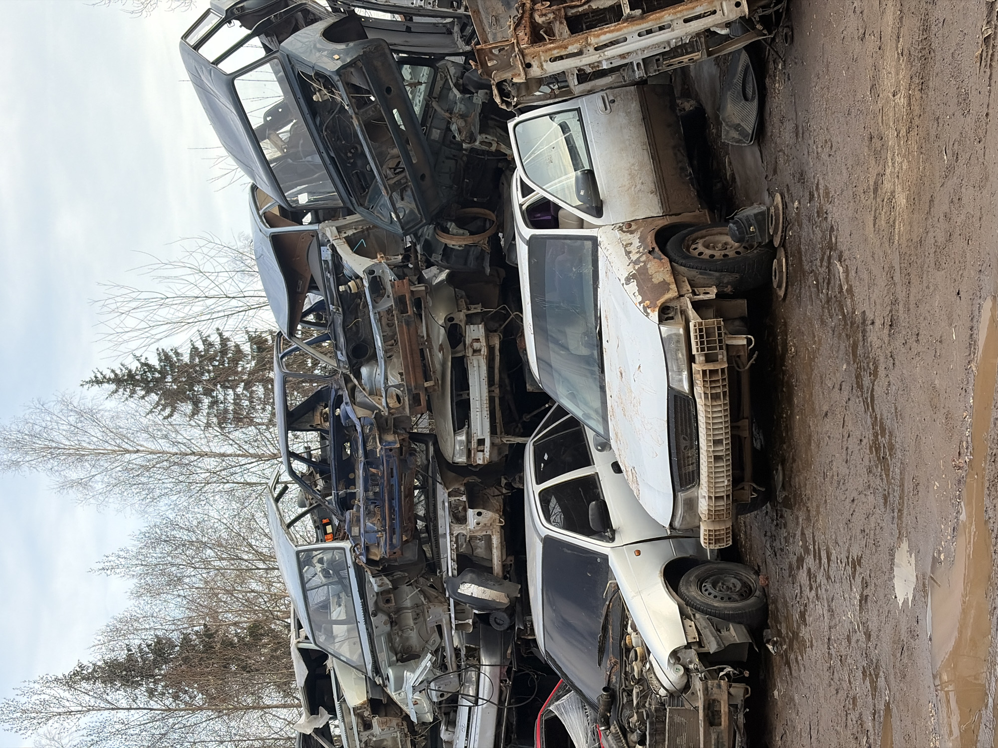 The image captures an outdoor car junkyard or auto wrecking yard in Chaikovsky, Russia. The primary subjects are numerous car bodies, largely stripped of their engines, interiors, and other reusable parts, stacked in large, haphazard piles. Most vehicles appear to be older compact car models.
The scene is dominated by these metallic remnants, with multiple chassis, detached doors, wheels, and various other vehicle components visible throughout the stacks. A prominent white car body, possibly an older Daewoo Matiz or similar model, stands out in the middle-right foreground, showing significant rust and missing most of its exterior panels and engine, with its distinctive white plastic grille visible. Another partially dismantled white car body lies on the muddy ground to the right. In the background and to the left, more car frames, some dark blue or grey, are piled high, extending towards the horizon.
The ground is muddy and uneven, featuring puddles that suggest recent rain or thawing conditions. Bare trees, characteristic of late autumn, winter, or early spring, line the background, silhouetted against an overcast sky. The absence of foliage on the trees reinforces the impression of a colder season. The overall atmosphere conveys industrial salvage and the process of vehicle dismantling. No people or visible activity are present in the frame. No discernible text is visible on any of the vehicle parts or objects.