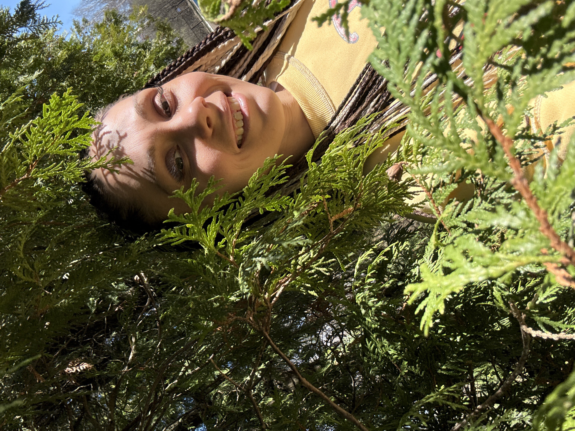 The image shows a woman lying amongst evergreen foliage, likely a juniper or cedar bush. She is wearing a yellow top and has braided hair. The perspective is from below, looking up at the woman and the sky is visible through the branches. The location is unknown.
