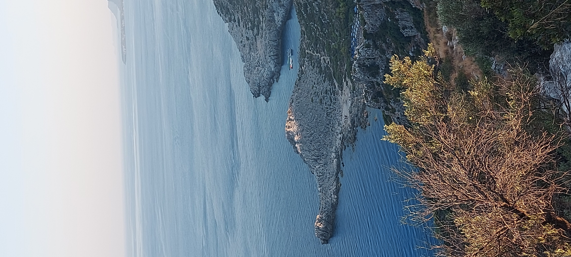 The image depicts a panoramic view of the Aegean Sea and the rugged coastline near Faliraki, Greece. In the foreground, a sun-drenched olive tree with dry, gnarled branches dominates the lower portion of the frame, casting long shadows. The sea, a deep blue with subtle ripples, stretches towards the horizon, meeting a hazy, pale sky.
The middle ground reveals a rocky promontory jutting into the sea. This promontory features a small, sandy beach with scattered rocks and a few indistinct figures, possibly beachgoers. Several boats, two white and one red, are anchored in the calm waters of a small cove adjacent to the promontory. Further along the coast, another rocky outcrop is visible, dotted with dense green shrubbery and a section of what appears to be a beach with numerous blue umbrellas. The coastline is characterized by steep, rocky cliffs covered in sparse vegetation. The overall impression is one of a serene coastal landscape bathed in the warm light of late afternoon or early morning.