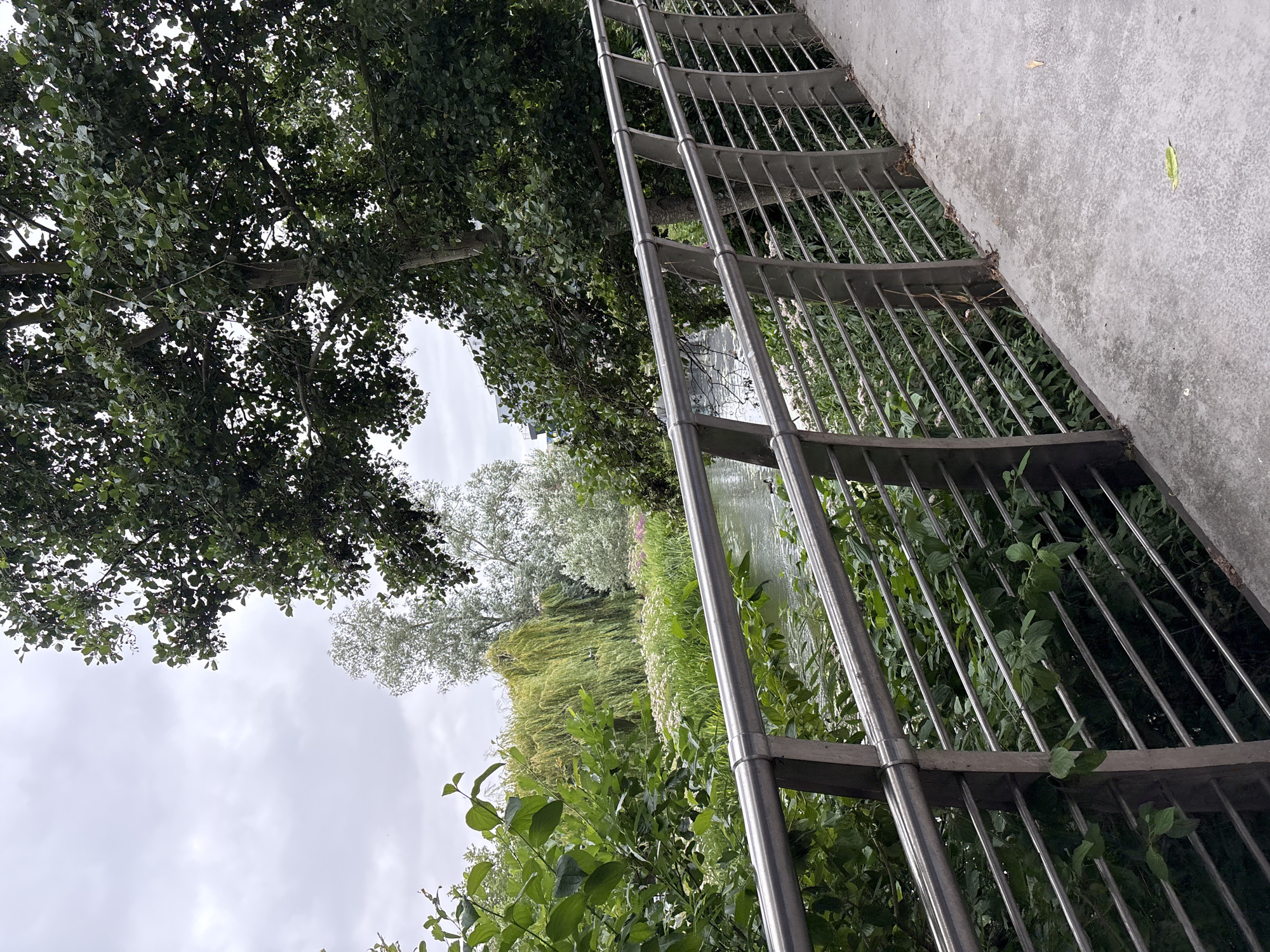 The image depicts a concrete walkway alongside a metal railing that overlooks a waterway. Lush green foliage and trees line the waterway, with a weeping willow tree visible in the mid-ground. The sky is overcast. The location is the River Chelmer in Chelmsford, United Kingdom. No people are visible in the image. The scene is tranquil and natural, suggesting a park or riverside path.