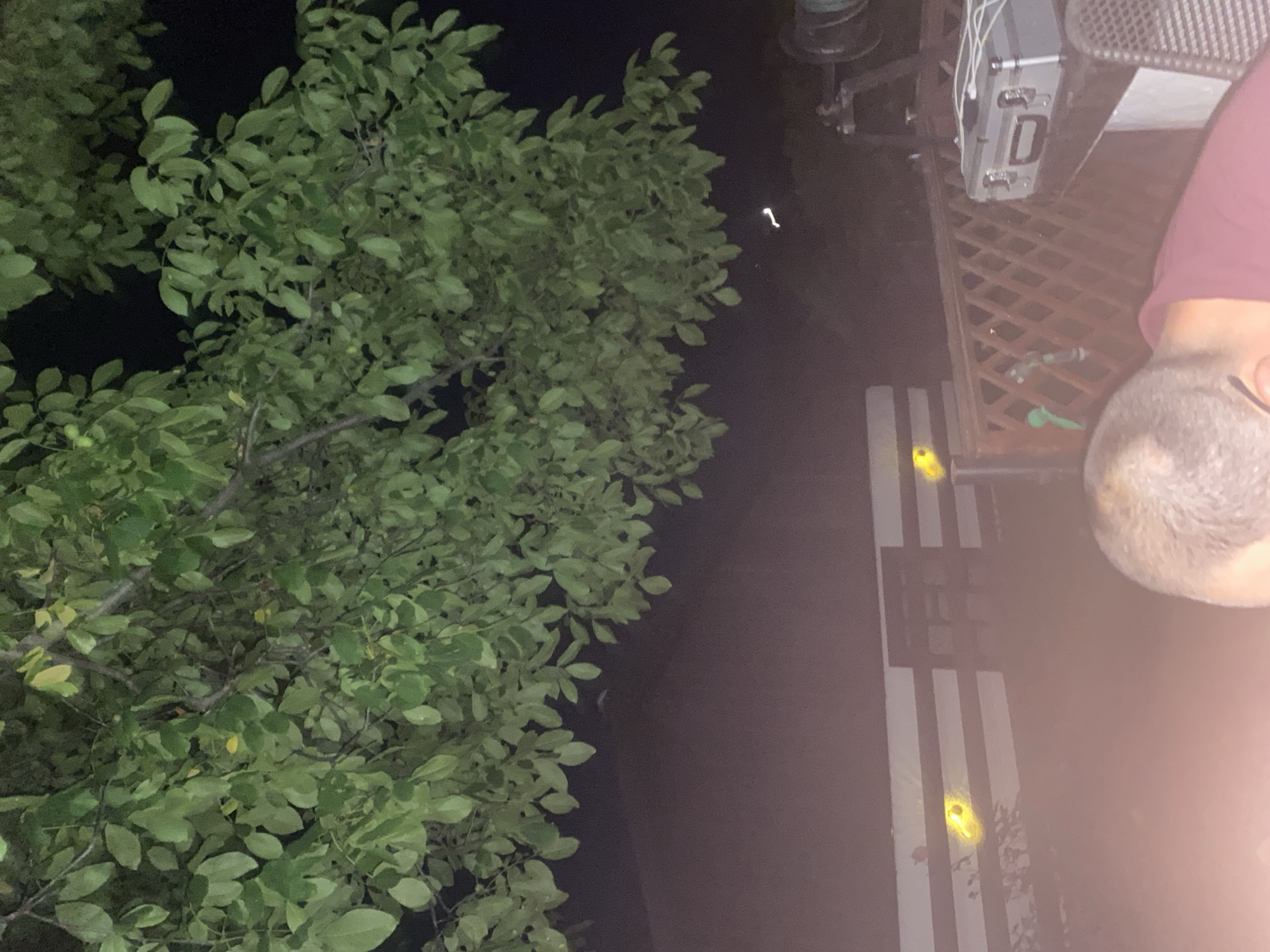 A night-time, medium-shot photograph captures a scene outdoors, possibly on a porch or patio, in Târgu Neamț, Romania. The upper half of the image is dominated by the dark foliage of a tree with numerous green leaves, silhouetted against a dark night sky. Below the tree, a reddish-brown, sloped roof of a building is visible.
Across the middle ground, a horizontal, dark-colored fence or railing with lighter, possibly white, horizontal slats runs from left to right. On the fence, two bright yellow, circular lights are visible, one on the left and one on the right. To the right of the fence, a wooden lattice railing separates the foreground from the background.
In the right background, a dark, metallic object, possibly a winch or spool, is mounted on a stand. To the left of this object, a silver, rectangular case with metallic clasps and an attached white cable rests on a dark surface.
The lower portion of the image shows a person's head and shoulders, viewed from behind and slightly to the side. The individual has short, grey hair and is wearing a dark red shirt. They are leaning forward, with their head down, their face obscured. The foreground is blurred and has a reddish hue, suggesting it may be illuminated by ambient light or a light source not directly visible. The overall impression is one of a casual outdoor setting at night, with some recreational or functional equipment present.