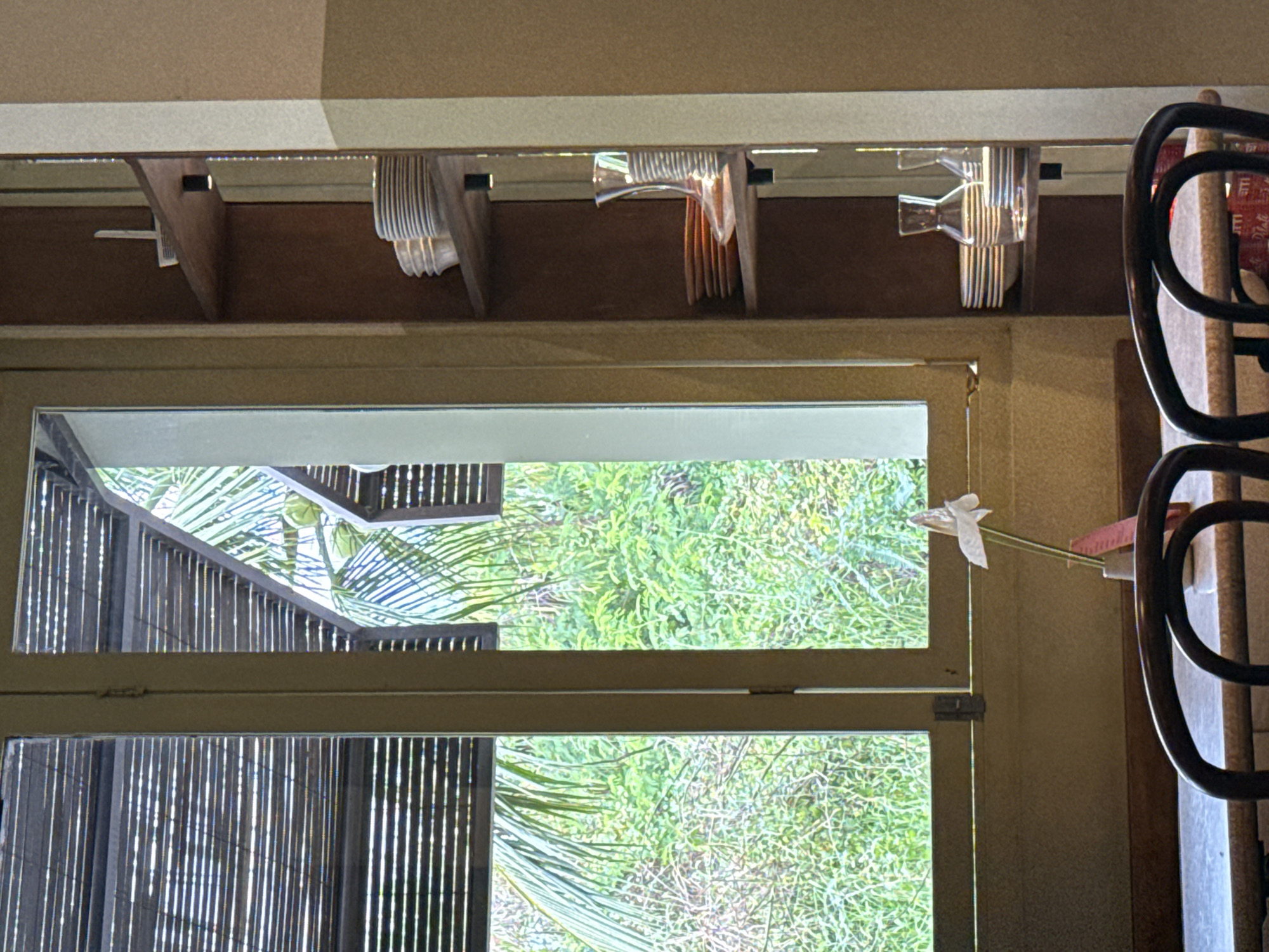 This image presents an indoor-outdoor scene, looking through a window onto a lush, green tropical environment, likely in North Kuta, Indonesia.
In the upper part of the interior, a wooden beam structure serves as a rack from which several clear, vertically ribbed glasses or small tumblers are suspended upside down. Below this, a light-colored window frame, likely made of metal or painted wood, offers a clear view of the outdoors. The exterior scene is filled with vibrant green foliage, including distinct palm fronds and other dense vegetation, characteristic of a tropical garden or natural setting. The bright natural light suggests it is daytime.
To the right of the window, a dark, curved metal frame, possibly part of a storage unit or piece of furniture, is partially visible. A small, white, bow-shaped decoration or ribbon is tied near the right edge of the window frame. Behind the metal frame, faint, red-colored packaging can be seen, with some barely discernible text that might include "Malt." No specific activity is depicted; the image captures a static view from inside looking out.