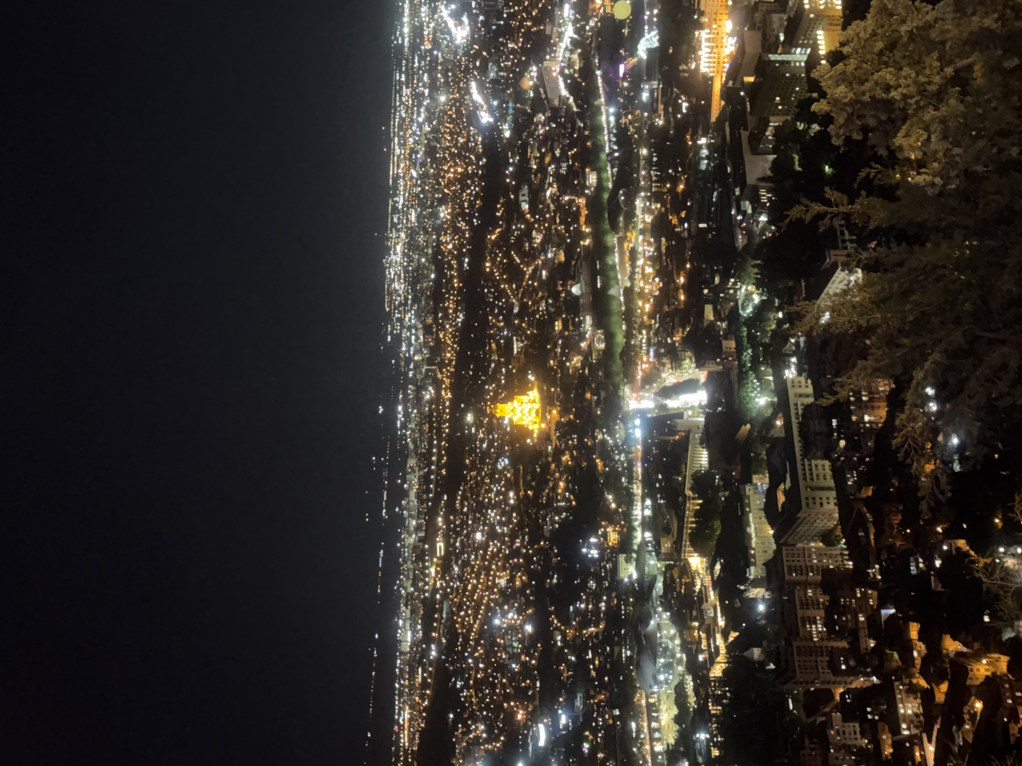 This is an aerial, long-shot, nighttime photograph of a sprawling city illuminated by countless lights. The overall impression is of a vast urban landscape stretching to the horizon. The sky is a deep, inky black, devoid of any visible stars or celestial bodies.
Dominating the mid-ground of the image is a prominent, brightly lit structure with a distinct, golden-yellow glow. This is most likely the Holy Trinity Cathedral of Tbilisi (Sameba), a significant landmark in the city, known for its illuminated domes and towers that are visible from afar. The cathedral appears to be situated on a slight elevation, surrounded by the urban sprawl.
Below and around the cathedral, the city unfolds in a dense network of lights. These lights form a mosaic of varying colors and intensities, ranging from warm yellows and oranges to cooler whites. They represent streetlights, building lights, and possibly car headlights. The lights suggest a complex urban infrastructure with roads, residential areas, and commercial districts.
In the foreground, the silhouette of trees and foliage is visible, dark against the illuminated cityscape. These trees frame the view, adding a sense of depth and perspective to the photograph. Some of the leaves and branches are illuminated by the distant city lights, creating a dappled effect.
The image captures the vibrant and extensive nature of Tbilisi at night, highlighting its architectural and urban features from an elevated viewpoint. The absence of visible people or specific activities suggests a focus on the city as a whole, its scale, and its nocturnal radiance.