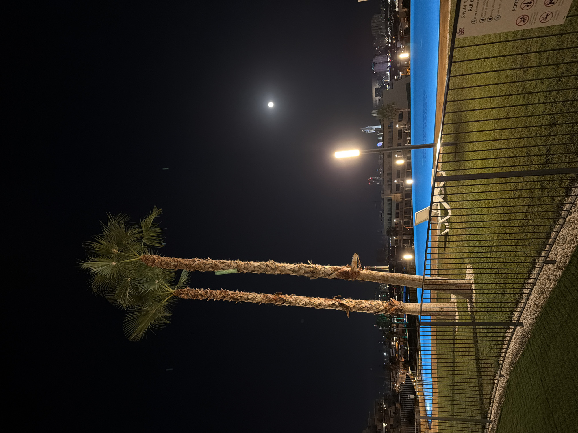 This image captures a nighttime scene at an outdoor swimming pool in Finestrat, Spain. Two tall palm trees stand prominently in the foreground, their trunks textured and weathered, with fronds extending towards the dark sky. A bright, full moon is visible in the upper right quadrant of the sky, casting a soft glow.
The swimming pool itself is illuminated with vibrant blue lights, creating a striking contrast with the surrounding darkness. A white lounge chair sits by the pool's edge. The area around the pool is covered in green grass, bordered by a dark metal fence.
In the background, the cityscape of Finestrat is visible, with buildings and lights suggesting a coastal urban environment. The overall atmosphere is tranquil and slightly dramatic, with the bright pool and moon illuminating the night. A small sign with swimming pool rules is attached to the fence on the right side of the image.