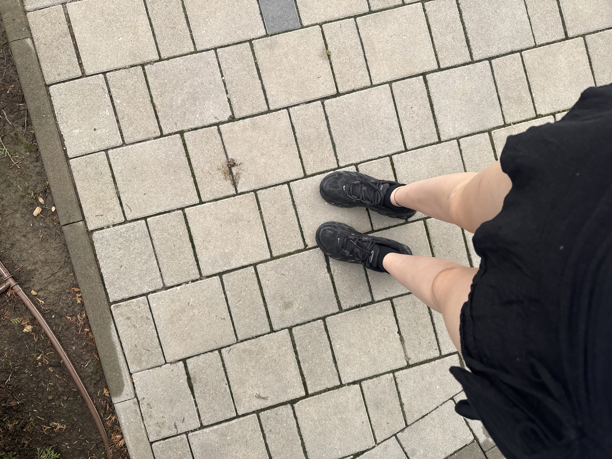 The image shows a first-person perspective of a person standing on a paved walkway in Dobrich, Bulgaria. The walkway is constructed of rectangular, light-colored concrete pavers. To the left of the walkway, there is a strip of dark soil with some scattered dry leaves and a brown hose. The person is wearing black athletic shoes and a black garment that extends from the waist down, partially obscuring the legs. The lighting suggests it is daytime.