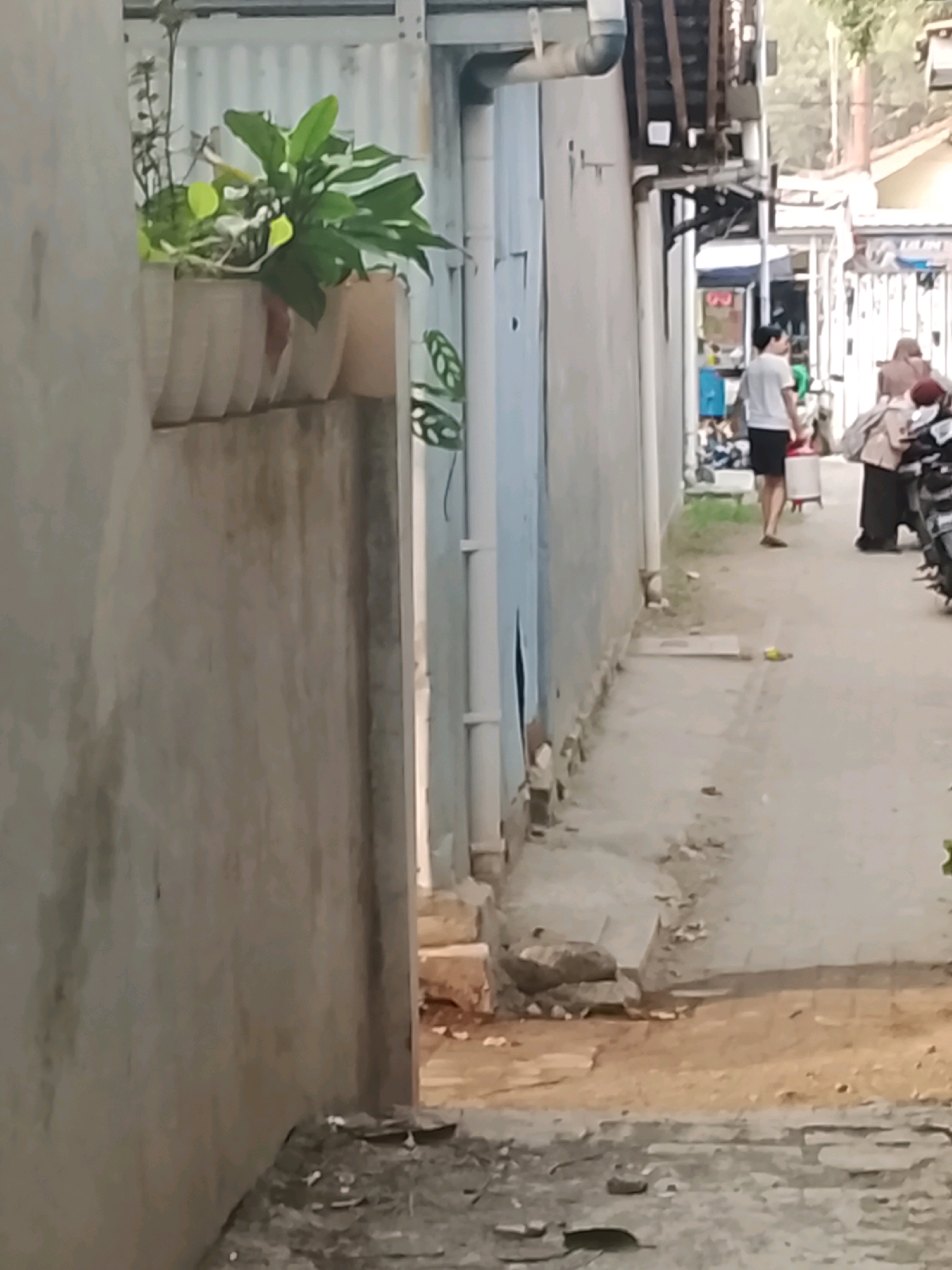 The image depicts a narrow alleyway in Ujungrusi, Indonesia, characterized by the presence of motorcycles, various buildings, and a few individuals. On the left side of the alley, a textured concrete wall runs vertically, with potted plants positioned on a ledge above. The alley itself is paved with a mix of dirt and what appears to be concrete or stone. In the background, several motorcycles are parked. Two individuals are visible further down the alley; one person is walking away from the camera, wearing a white t-shirt and dark shorts, while another person, possibly a woman, is facing away from the camera and appears to be carrying a bag. Buildings with corrugated metal roofs and light-colored walls line the right side of the alley. The overall environment suggests a residential or semi-commercial area within the city.