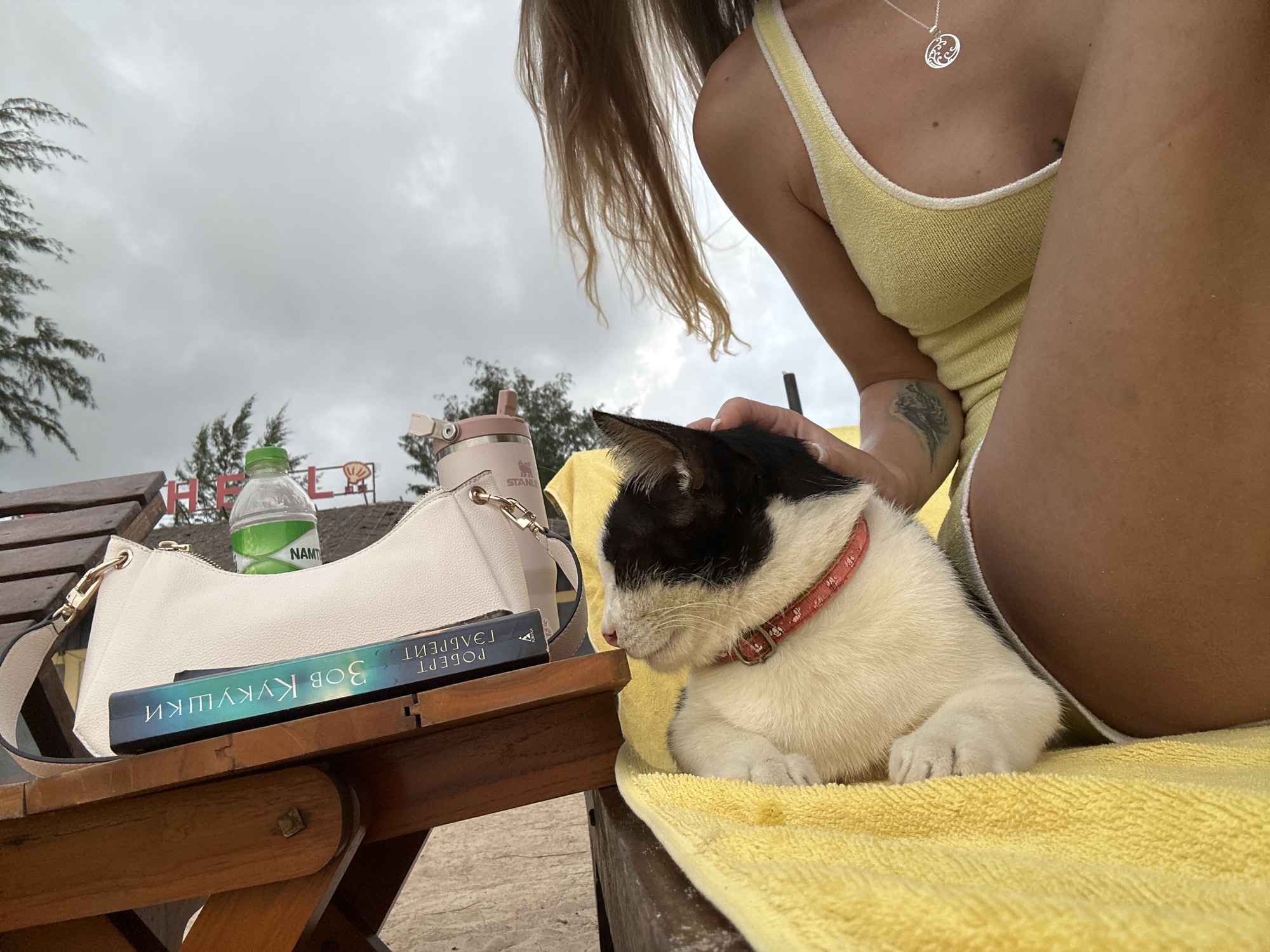 A person in a yellow top with a necklace is sitting on a beach chair with a black and white cat on their lap. The cat is wearing a red collar and appears relaxed. Next to them on the chair is a white handbag and a book. A bottle of water with a green cap is also visible on a wooden table. The sky is cloudy, suggesting overcast weather. The scene appears to be a casual outdoor setting, possibly a beach given the sand-like texture visible in the foreground. The overall mood seems peaceful and content. The book title is visible and reads "ЗОВ КУКУШКИ" and "РОБЕРТ".