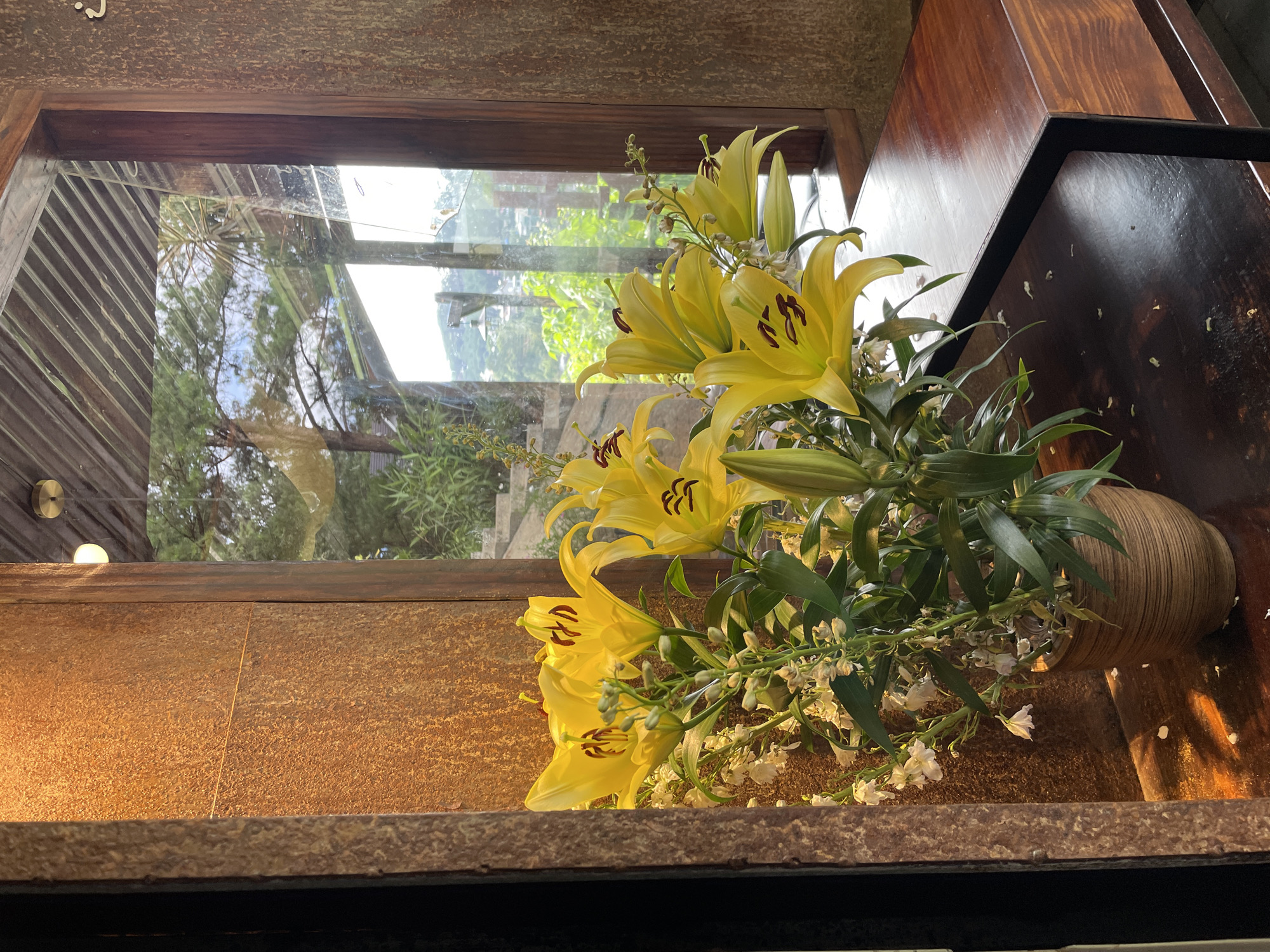 An indoor scene in Da Lat, Vietnam, features a bouquet of vibrant yellow lilies and smaller white flowers in a ribbed, light brown vase, positioned on a dark brown wooden surface. The lilies exhibit prominent dark reddish-brown anthers. Several detached white petals are scattered on the wooden surface beneath the vase. To the left, a vertical, textured panel, possibly corten steel, displays an oxidized, rust-orange hue, illuminated from an unseen source above. To the right, a large window with dark wooden framing offers a view of a lush, green outdoor environment under daylight. Visible through the window are various trees, distant green hills, and reflections on the glass, including a corrugated roof structure above and a distant outdoor light fixture. The immediate foreground shows a dark wooden table or bench extending from beneath the vase. No individuals are present in the image.