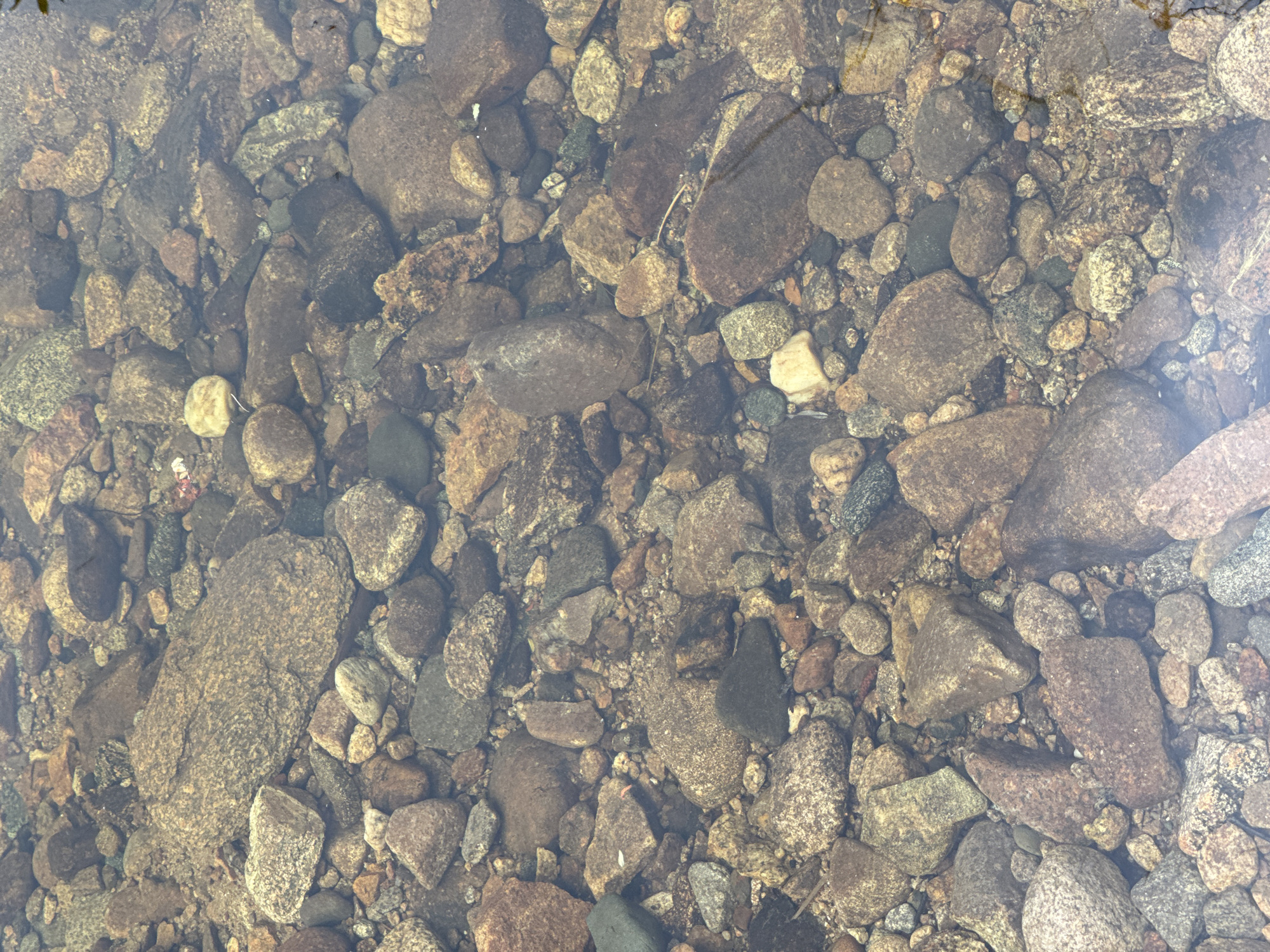 The image shows a close-up view of the rocky bottom of a body of water. The rocks are of various sizes, shapes, and colors, ranging from small pebbles to larger stones, with tones of gray, brown, and tan dominating. Some rocks appear smooth and rounded, suggesting erosion from water flow, while others have rougher textures. The water is clear, allowing the details of the submerged rocks to be visible. The overall scene is natural and unadorned, with no signs of human activity or infrastructure. The location is specified as Murtygit, Russia, implying a natural setting within that region.