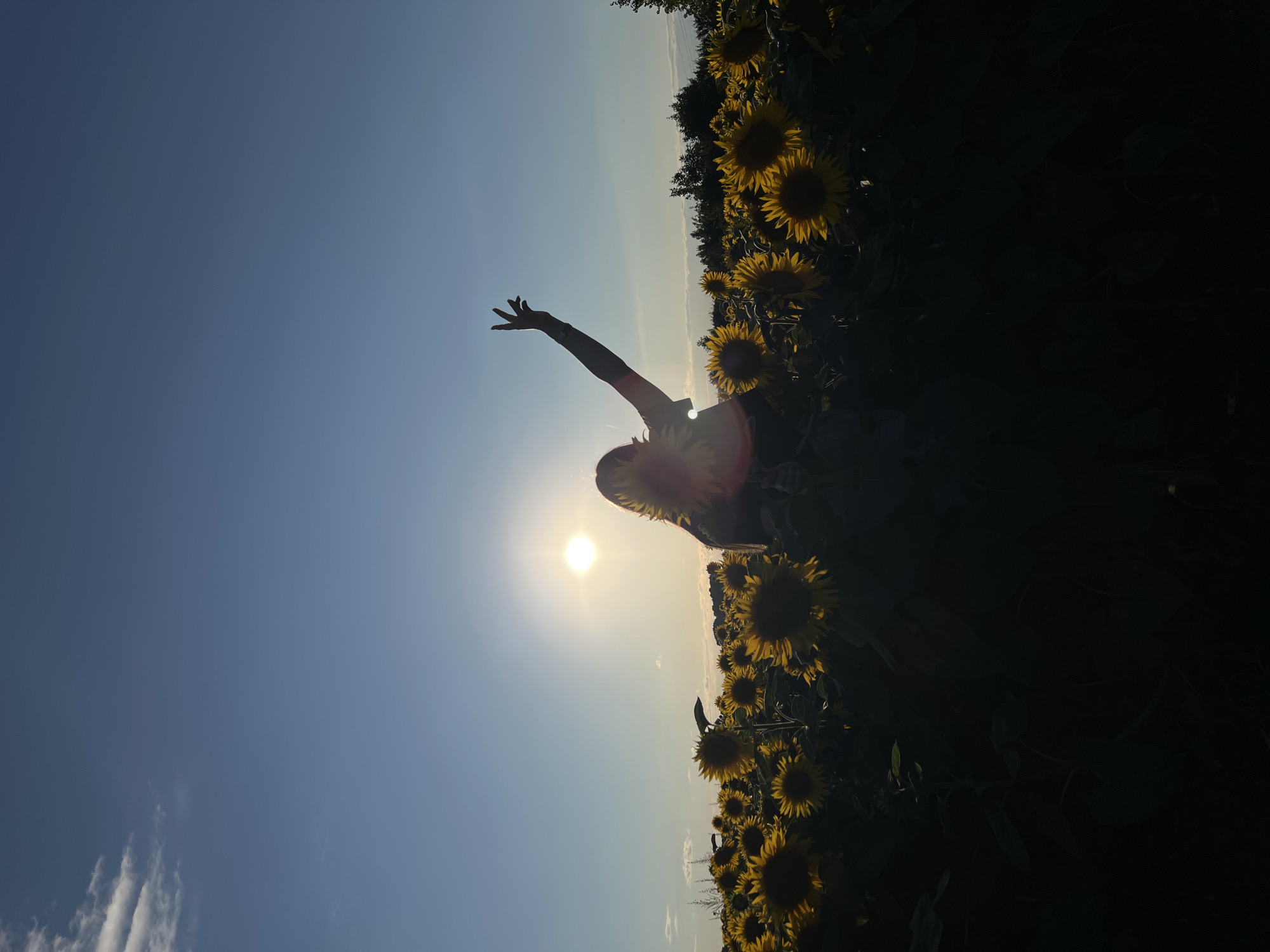 A silhouette of a person stands in a field of sunflowers with their right arm raised against a clear blue sky. The sun is visible and shining brightly, creating a lens flare across the image. The person is facing away from the camera, with their hair illuminated by the sun. The foreground is dark and obscured, while the sunflowers extend into the distance. This scene was captured in Ostriv, Ukraine.