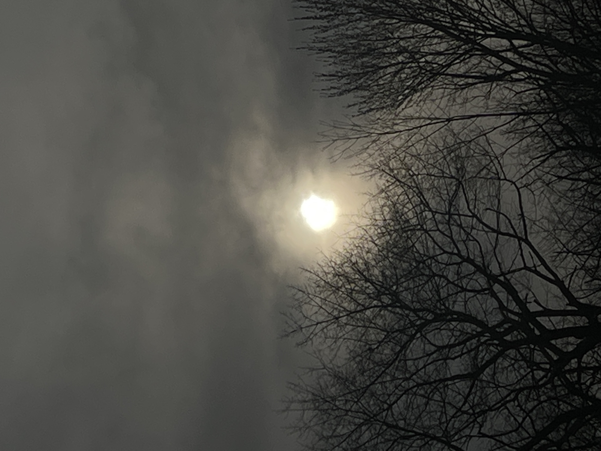 The image appears to be a low-angle shot of a partial solar eclipse viewed through bare tree branches against an overcast sky. The location is City of Port Jervis, United States of America. A bright, partially obscured sun is visible through a break in the clouds, positioned toward the upper center-left of the frame. Tree branches, silhouetted against the sky, occupy the right side and upper portion of the image. The overall tone is dark and muted due to the cloudy conditions and the contrast between the bright sun and the dark branches. There are no people visible in the image.