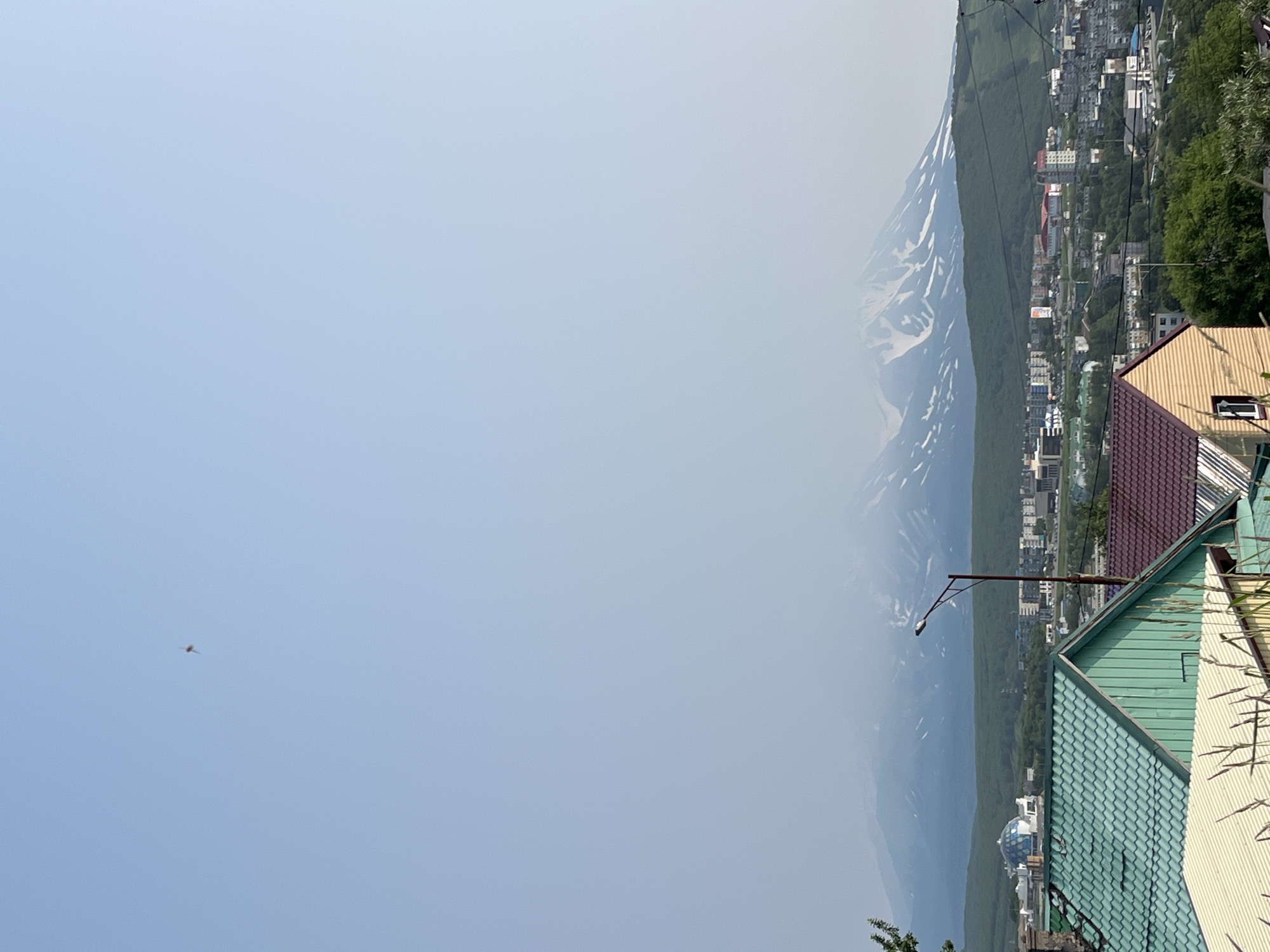 In Petropavlovsk-Kamchatsky, Russia, this image captures a panoramic view of the city with a prominent mountain range in the background. In the foreground, several houses with colorful roofs are visible, including one with a green, corrugated metal roof and another with a burgundy, tiled roof. A street light stands to the right of the green-roofed house. Beyond the houses, a dense green forest extends across the middle ground, with the city's buildings scattered amongst the trees. The city features various structures, including a distinctive domed building with a blue hue. The background is dominated by a large mountain range, partially obscured by mist, with snow-capped peaks visible. In the upper left quadrant of the sky, a small, dark object, possibly a bird or a kite, is suspended in the air. The sky is a pale blue, suggesting a clear but hazy day.