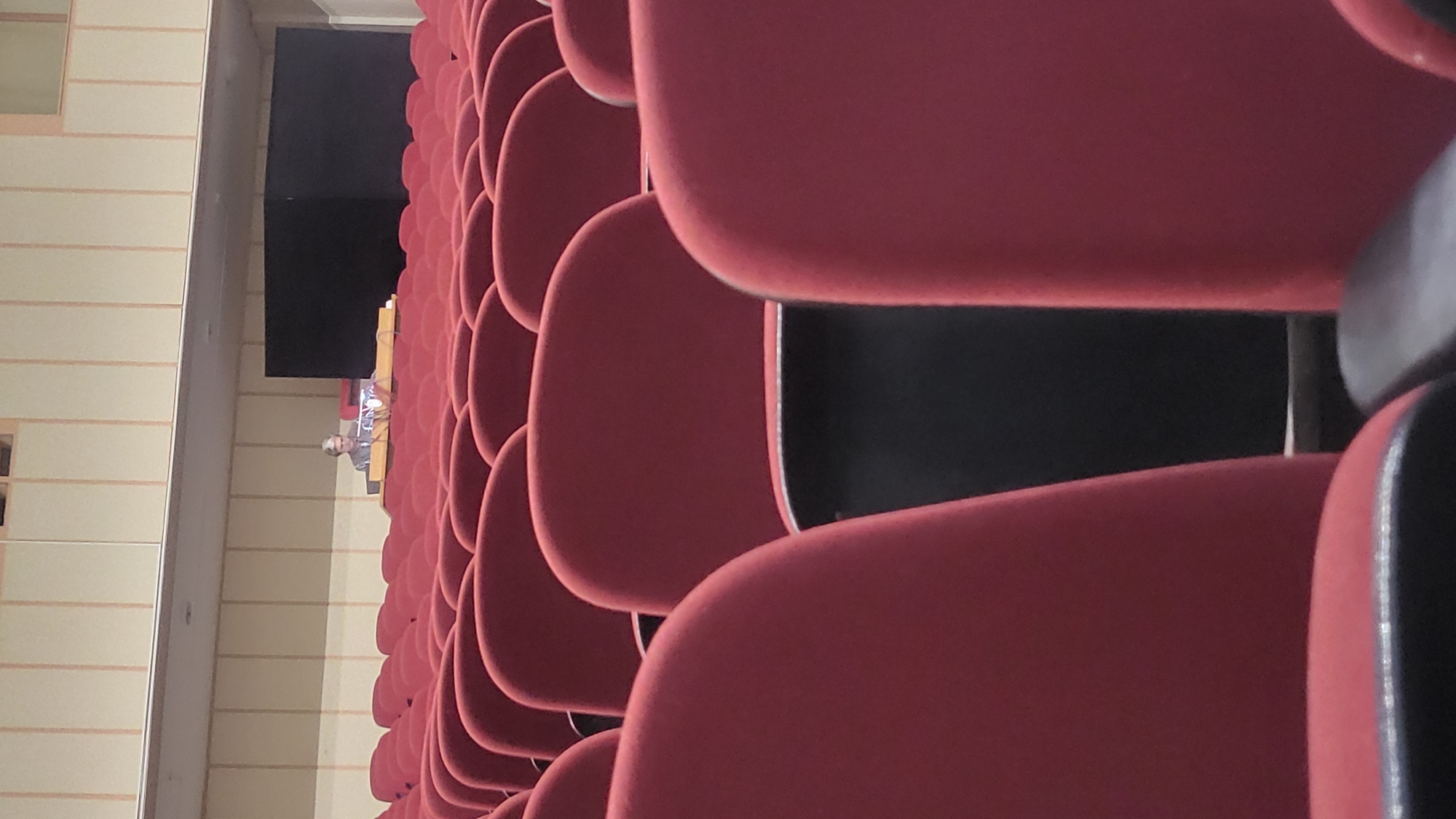 The image depicts an auditorium or lecture hall, viewed from the audience seating area. The majority of the frame is dominated by numerous rows of empty, red upholstered seats, stretching from the foreground towards the background on the right side. These seats are uniform in design and color, suggesting a formal event venue.
In the background, positioned towards the left side of the frame, a person is visible seated at a light-colored wooden desk or podium. The person has gray hair and appears to be wearing a dark top. Behind this desk and person is a large, dark, rectangular screen or panel, likely used for presentations or projections. The left wall of the room features a patterned design of light-colored horizontal panels.
The overall scene suggests an event, such as a lecture, conference, or presentation, either about to begin, just concluded, or perhaps sparsely attended, given the empty seats. The room is well-lit, presumably by artificial lighting, making the time of day indeterminate. There is no visible text or branding discernible in the image.