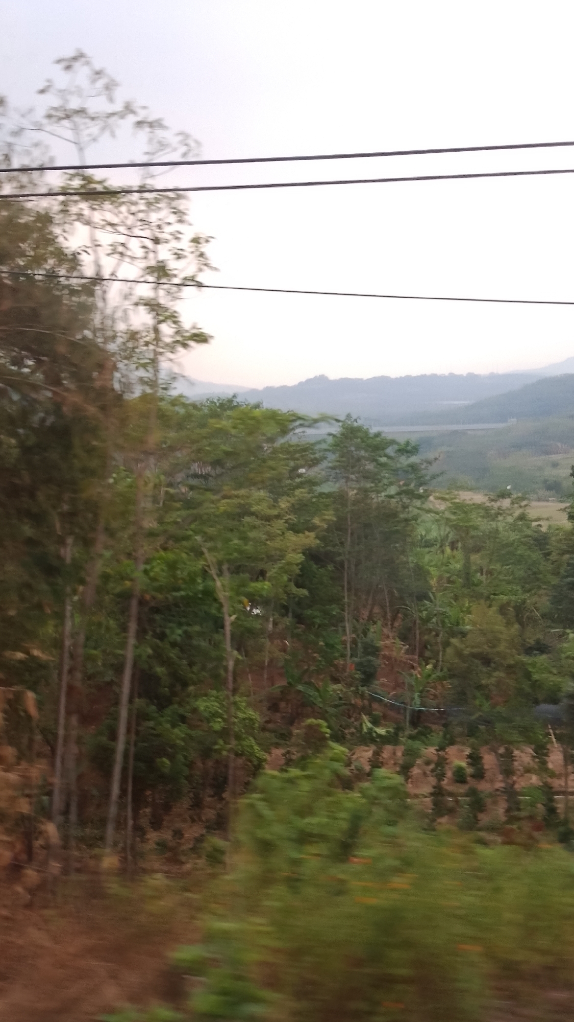 The image depicts a natural landscape, likely in a rural area or on the outskirts of Purwakarta, Indonesia, given the context. In the foreground, there are several trees, some appearing tall and slender with sparse foliage, others denser and with fuller leaves. The ground in the immediate foreground is covered with brown soil and some vegetation, with a blur suggesting movement.
Further into the scene, a hilly terrain unfolds, characterized by lush greenery and terraced slopes that suggest agricultural activity, possibly rice paddies or small farms. The vegetation is predominantly trees and shrubs, with varying shades of green. In the middle ground, a series of darker, more densely packed trees stand out, with some lighter-colored plants interspersed. The background features rolling hills that fade into a hazy, pale sky. Two parallel dark lines, likely power or telephone lines, stretch across the upper portion of the image, passing in front of the sky and trees. The overall atmosphere is serene and natural, with a hint of a developing or existing rural community implied by the agricultural terraces and potential infrastructure (power lines).