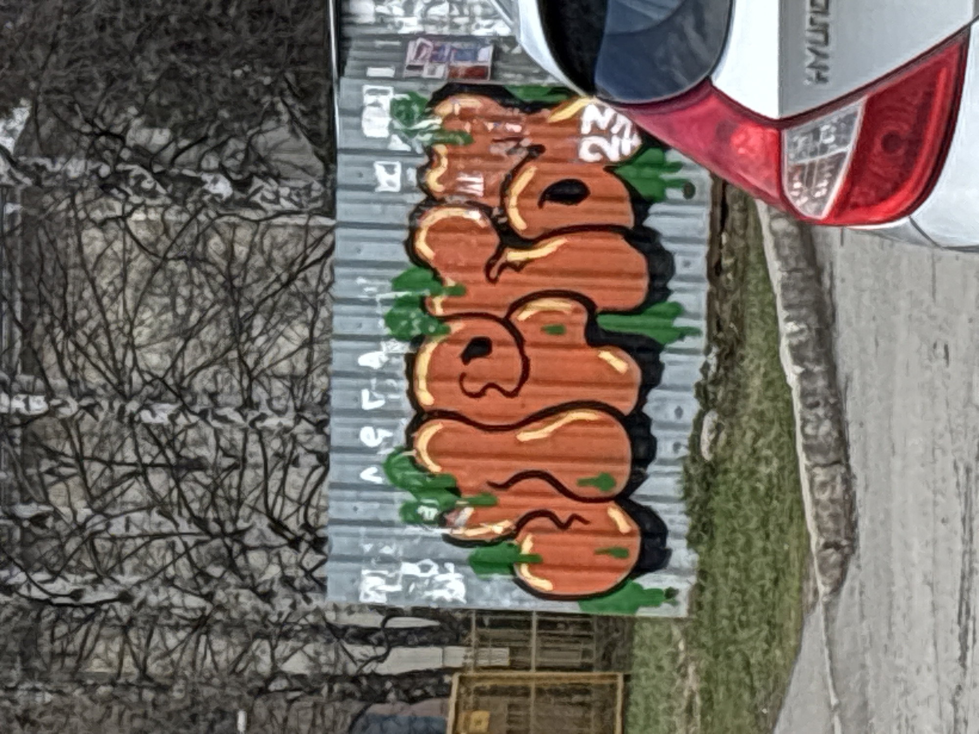 This media file captures a street scene in Izhevsk, Russia, likely during late autumn or winter, as suggested by the bare, intricate branches of trees visible on the left side. The primary subject is a vibrant piece of graffiti art adorning a corrugated metal fence or wall that runs horizontally across the image. The graffiti features bold, orange, bubble-style letters outlined in black, with splashes of green paint as accents. While the full word or phrase is not entirely clear, the text "NV 26" is discernable near the top right of the orange graffiti.
To the right of the fence, the rear section of a white car is visible, prominently displaying its red taillight and parts of the trunk. The brand name "HYUNDAI" can be clearly seen embossed on the car's trunk lid. The ground in the foreground shows a strip of green grass bordering a concrete or asphalt surface, suggesting a sidewalk or road. The scene is illuminated by an overcast daytime light, creating a soft, even illumination without harsh shadows. No specific activity or people are present in the image.
