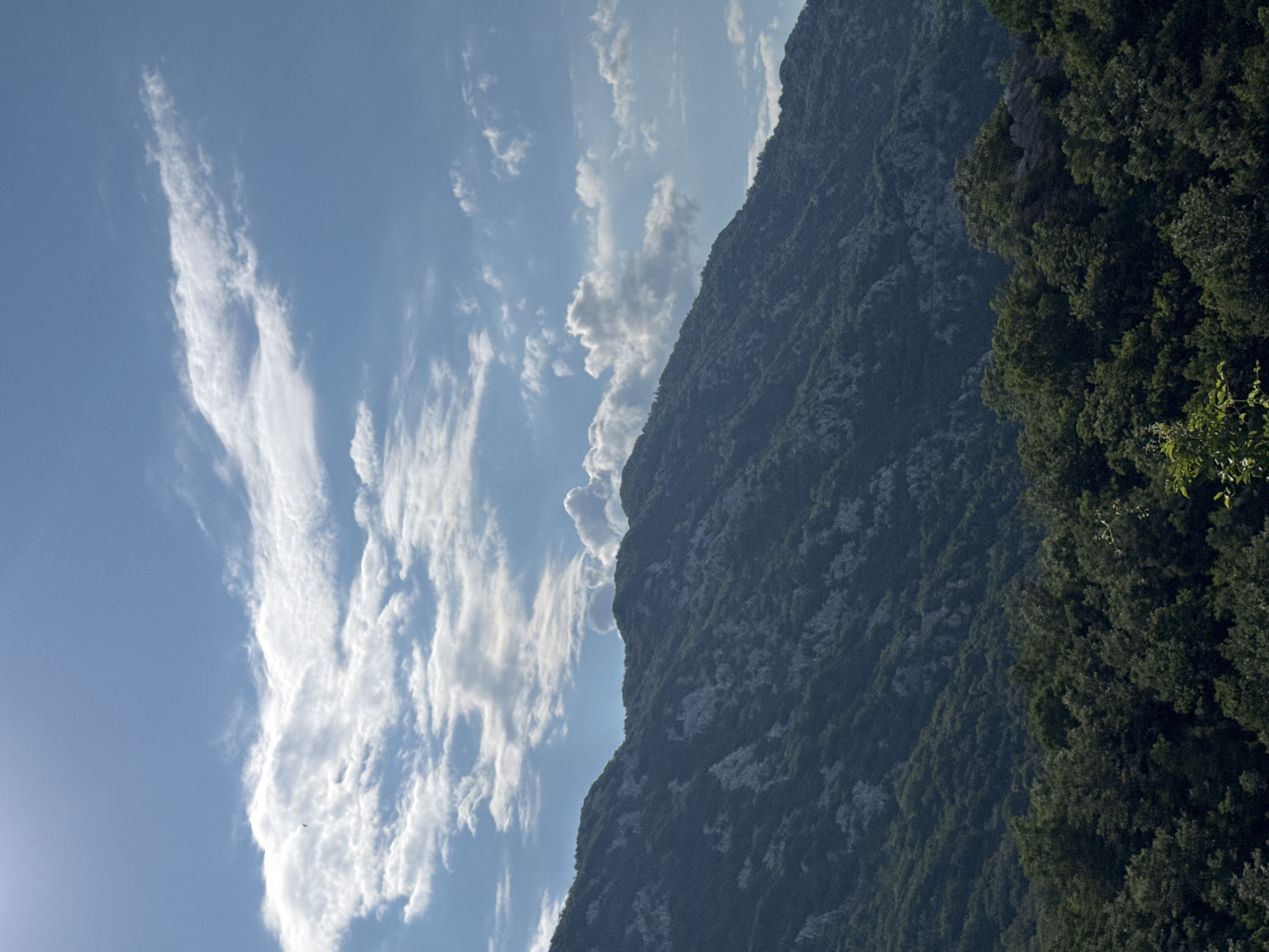 The image shows a sunlit mountain range covered in lush green vegetation. The sky is a clear blue, dotted with scattered white clouds. The mountains are steep and rugged, with rocky outcrops visible through the foliage. In the foreground, a dense forest of trees stretches across the lower part of the frame. The scene depicts a natural landscape, likely taken in a rural or mountainous area. The location is identified as Dragalj, Montenegro.