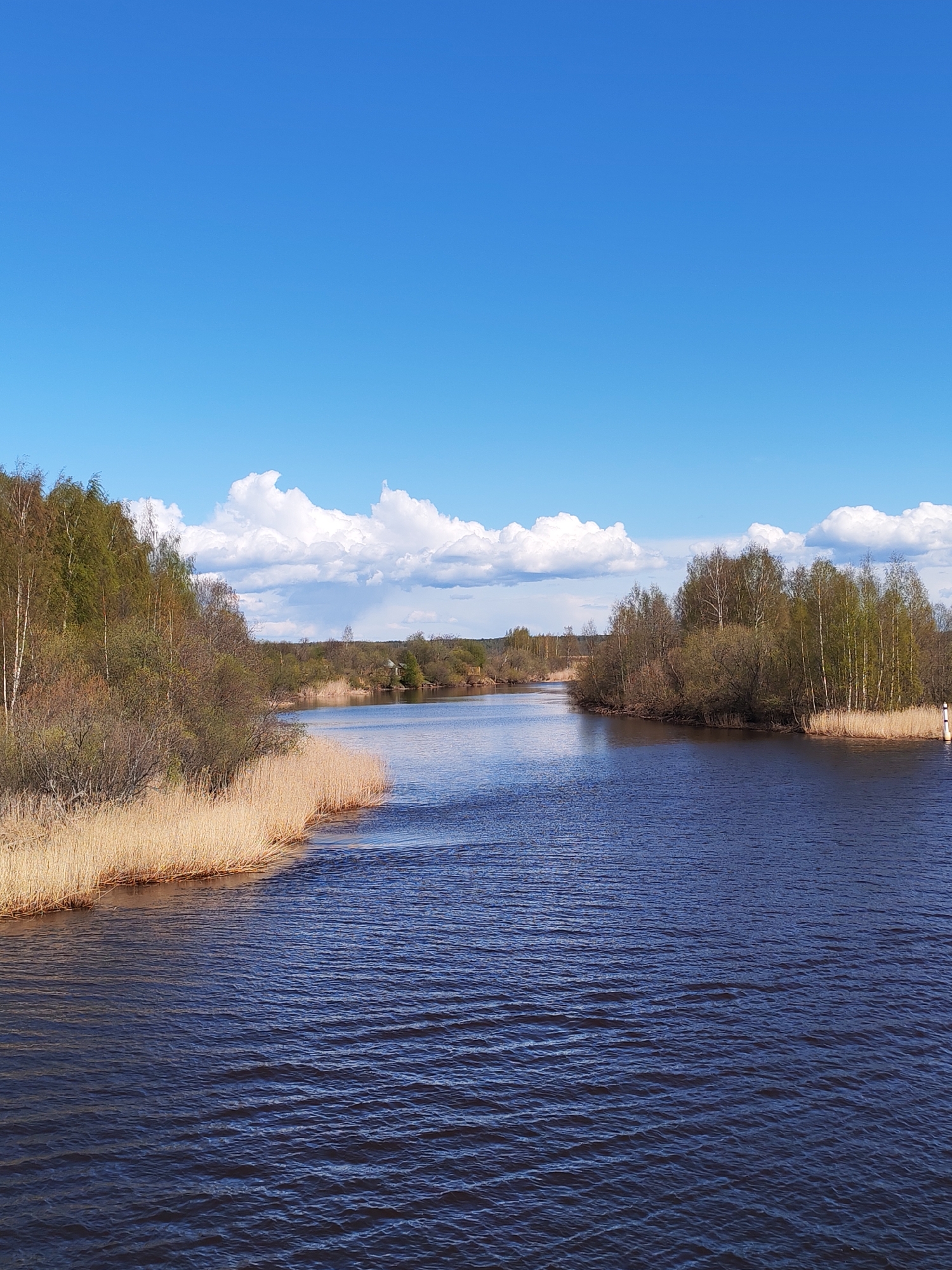 The image depicts a tranquil river scene in Ozernoe Ust'e, Russia. The water is dark with ripples, indicating a slight breeze. Along the riverbanks, there are dense thickets of trees and tall, dry reeds. The sky is blue with fluffy white clouds. There are no people visible in the image. A small white marker post is located on the right bank.