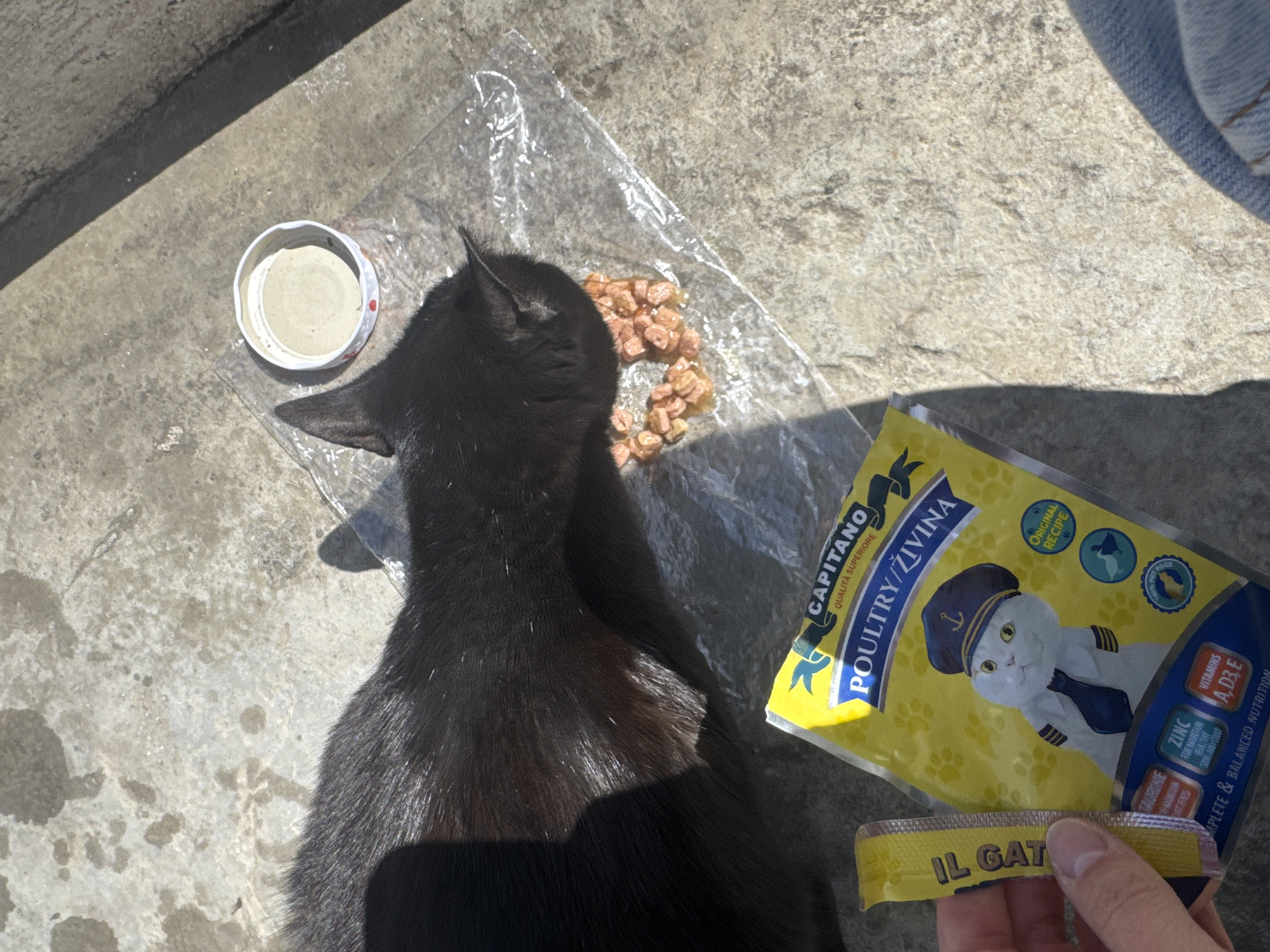 The image, likely taken in Bjeliši, Montenegro, features a black cat positioned among various items related to cat food. A bowl of wet cat food sits to the left, and a clear plastic bag holds a portion of dry cat food. A yellow package of "Capitano Poultry/Živina" cat food is positioned to the right, with a person's hand holding a tear-off portion of the packaging. The background is a concrete surface, suggesting an outdoor setting. The cat appears to be either resting or observing the food items.