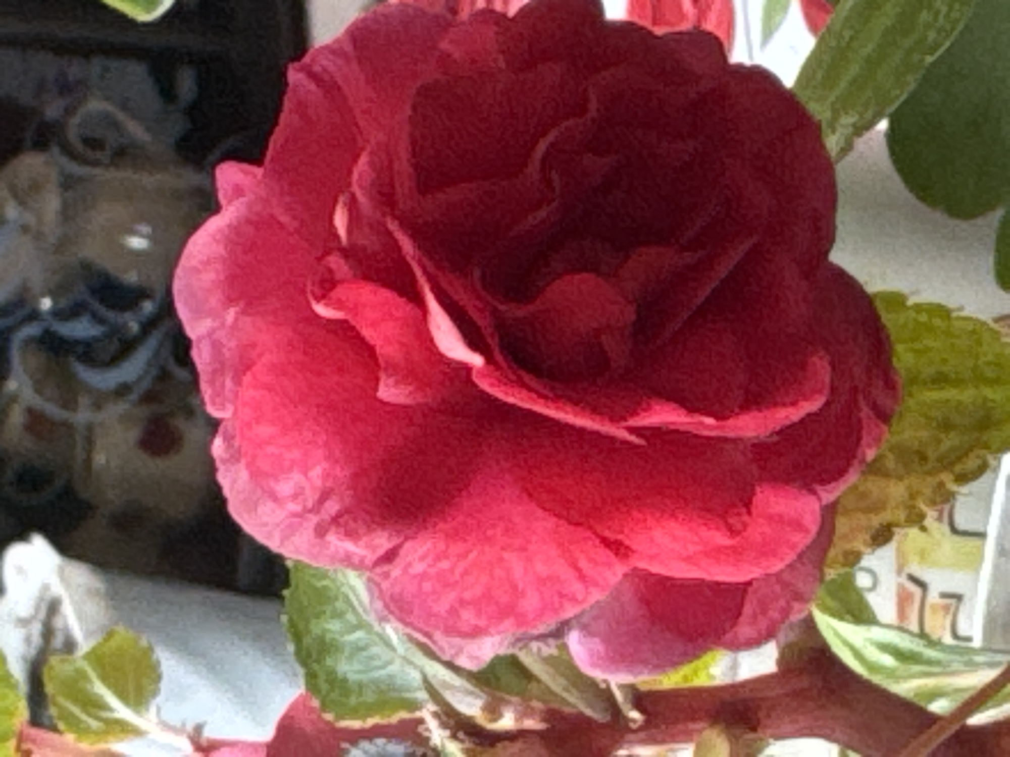 The image is a close-up, slightly out-of-focus shot of a vibrant pink flower. The flower has many ruffled petals and appears to be a begonia or a similar type of bloom. The stem and some green leaves are visible on the left side of the frame, also slightly blurred. The background is out of focus and appears to be an indoor setting with hints of what might be other potted plants or decorative objects. The lighting suggests it is daytime, with natural light falling on the flower. No specific location within a city is discernible from the image.