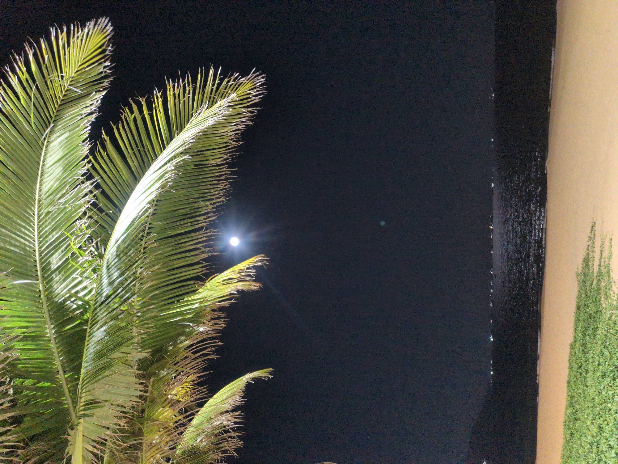 At night, the image captures a scene in Quy Nhon Ward, Vietnam, dominated by a large palm tree on the left side, illuminated by a light source, possibly the moon, which is visible as a small, bright orb in the upper-center of the frame. The leaves of the palm tree are primarily green, with some yellowing visible. The right side of the image shows a section of a building. There is a black, textured column and a beige wall covered with a plant. The sky is a dark, clear black.