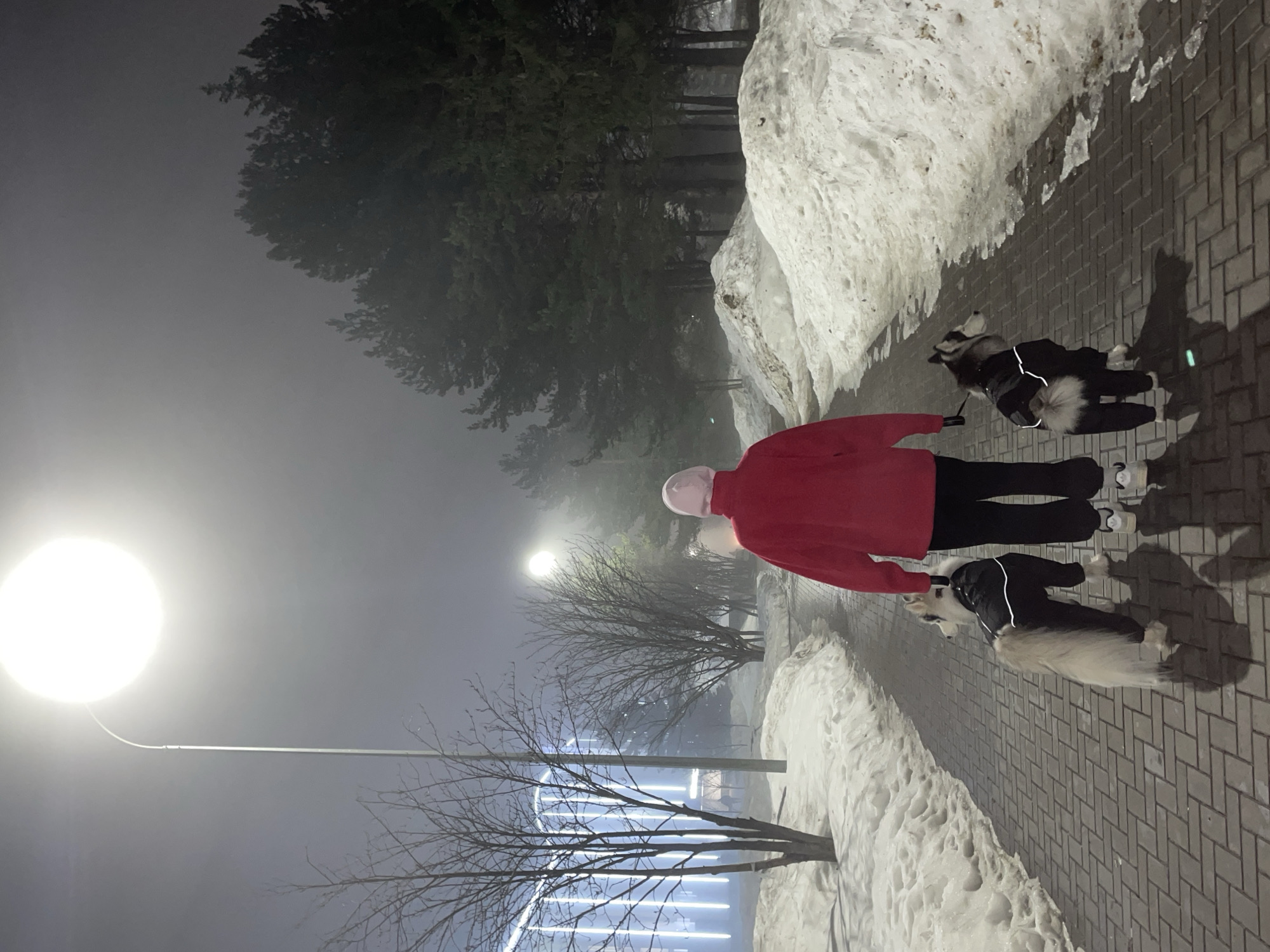 A person wearing a red jacket and black pants walks two dogs on a brick sidewalk next to snow banks. The scene is illuminated by a street lamp, and the background is foggy with trees visible. There appears to be a lit-up structure visible in the background. The person holds the leashes to both dogs. Based on visual cues, the location is Izhevsk, Russia.