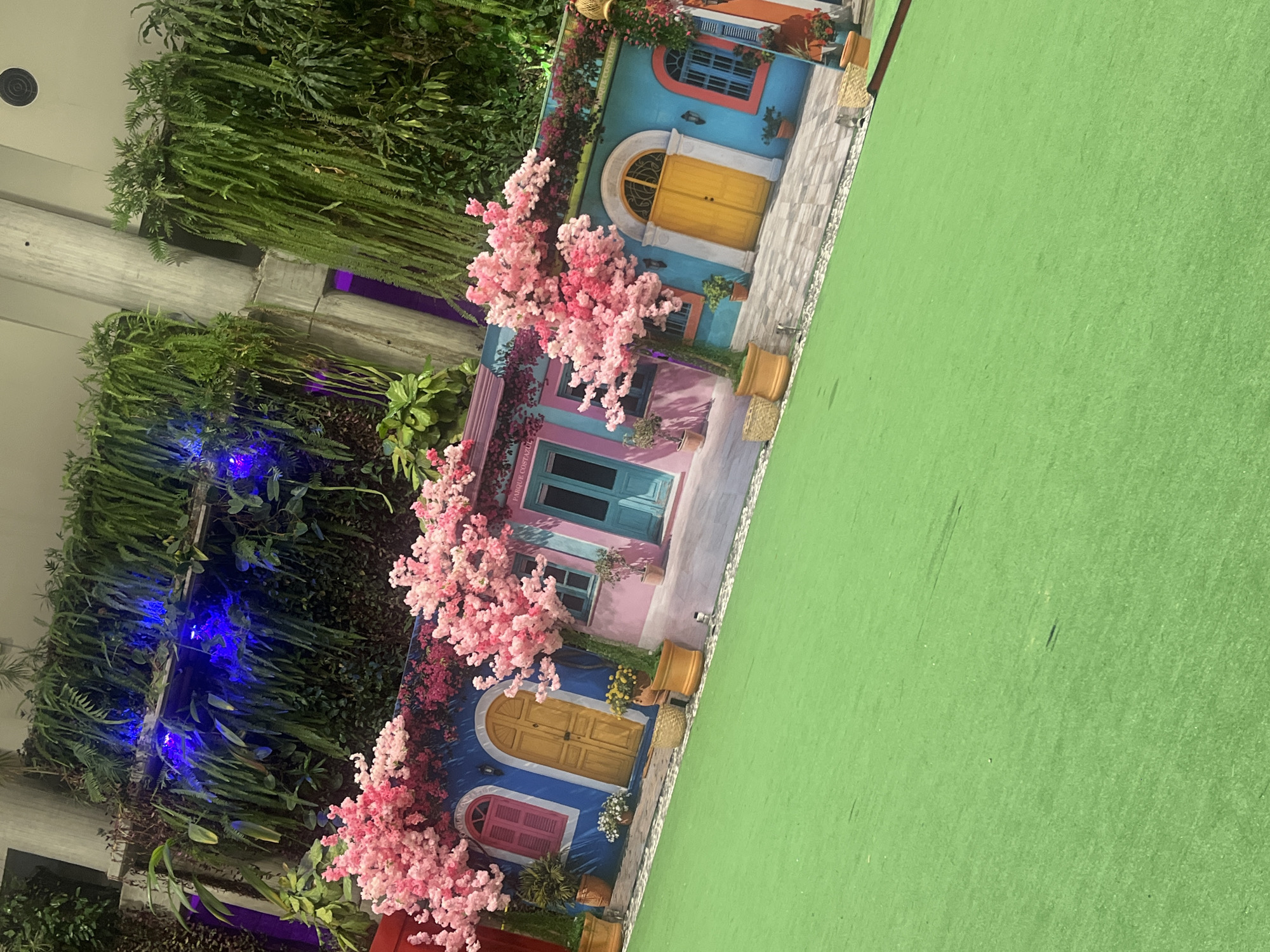 The image depicts a vibrant backdrop, likely a photograph or a mural designed to simulate a street scene in Pampatar, Venezuela, known for its colorful architecture. The "street" features depictions of buildings painted in bright hues such as blue, pink, and yellow, adorned with imitation doors, windows, and potted plants. Artificial pink flowering trees are positioned to enhance the illusion of a lively, blooming streetscape.
Adjacent to the backdrop is a lush vertical garden, featuring various types of greenery, including ferns and other plants, illuminated with blue LED lights. A patch of green artificial turf sits on the right side of the backdrop, completing the scene. The overall setup appears to be for a photograph or event setting.