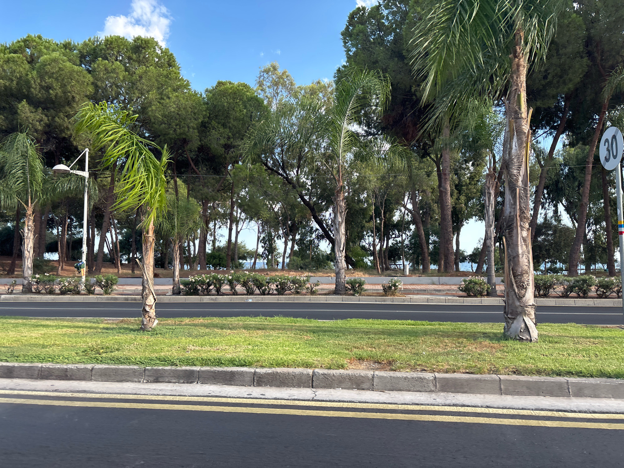 The image depicts a roadside scene in Agios Athanasios Municipality, Cyprus, with a focus on a row of palm trees and pine trees bordering a street. The foreground shows a dark asphalt road with two yellow lines marking a lane. Adjacent to the road is a strip of manicured green grass bordered by a concrete curb. Beyond the grass, a raised planter bed with a stone border contains decorative bushes and flowers. A white lamppost is visible on the left side of the frame, partially obscured by a palm tree. In the background, a dense line of mature pine trees forms a backdrop, with glimpses of the sea and sky beyond. A circular speed limit sign with the number "30" is mounted on a pole on the right side of the image. The sky is blue with scattered white clouds. The overall impression is a well-maintained urban or coastal road environment.