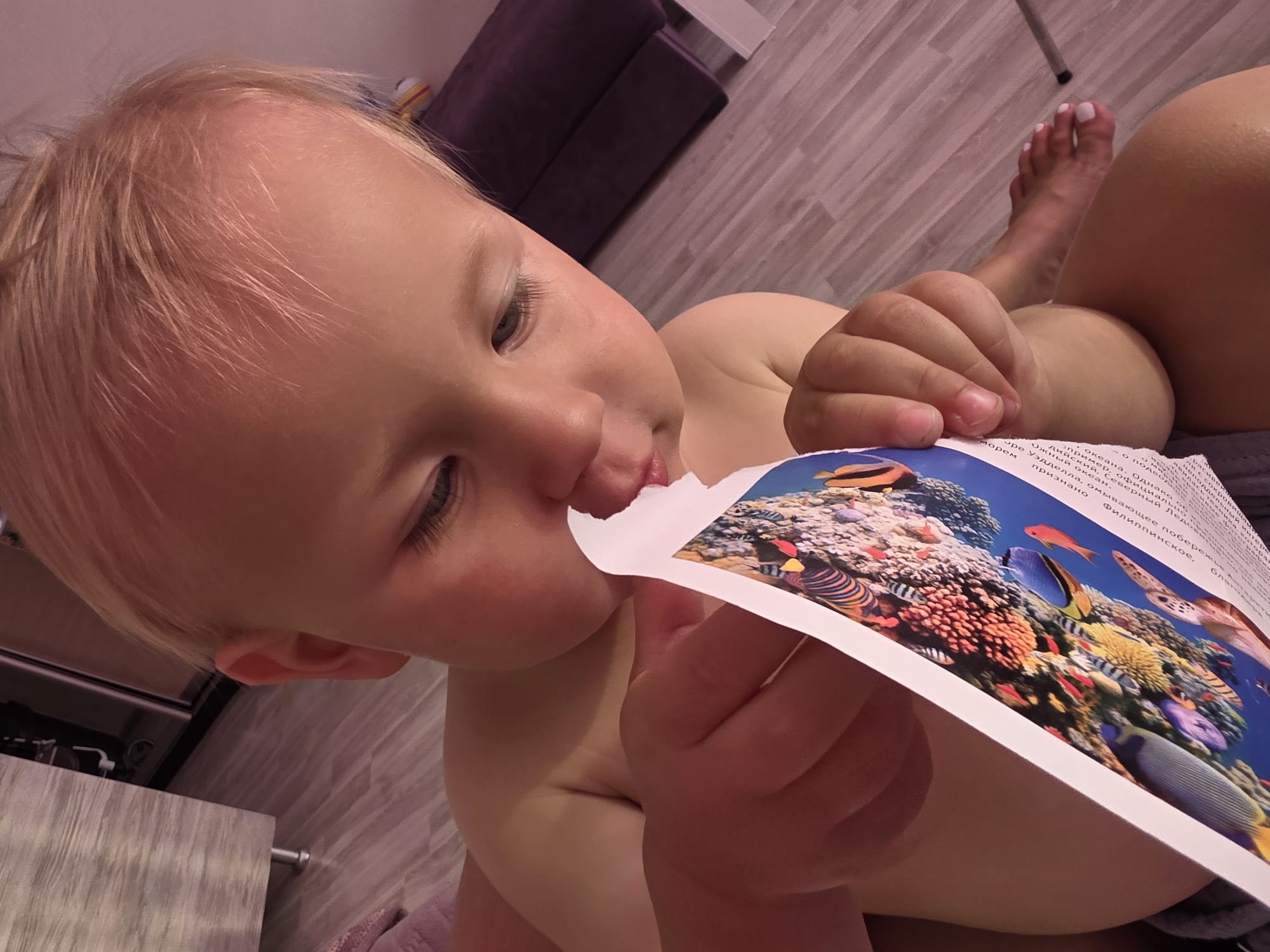 A close-up, overhead shot shows a young child with blonde hair, leaning into a photograph and appears to be chewing on the edge of it. The photograph depicts a vibrant coral reef teeming with colorful fish, including angelfish and butterflyfish, and a sea turtle. The child's face is partially obscured by the photograph, but their eyes are open and looking down at the image. The child's hand is holding the photograph, and another hand is also visible, likely belonging to an adult.
The setting appears to be indoors, possibly a living room, with a tiled floor and a glimpse of a purple upholstered piece of furniture in the background. A bedside table or dresser is also visible to the left, with what looks like a stovetop or appliance on it. The lighting is soft and ambient, suggesting daytime. The child's expression is one of curiosity and engagement with the photograph. Visible text on the photograph is in Russian and appears to be a caption describing geographical locations and bodies of water, possibly related to oceans and islands. Some legible words include "океана" (ocean), "морем" (sea), and geographical names like "Уэдделла" and "Филиппинское". The child's skin tone suggests they are fair-skinned.