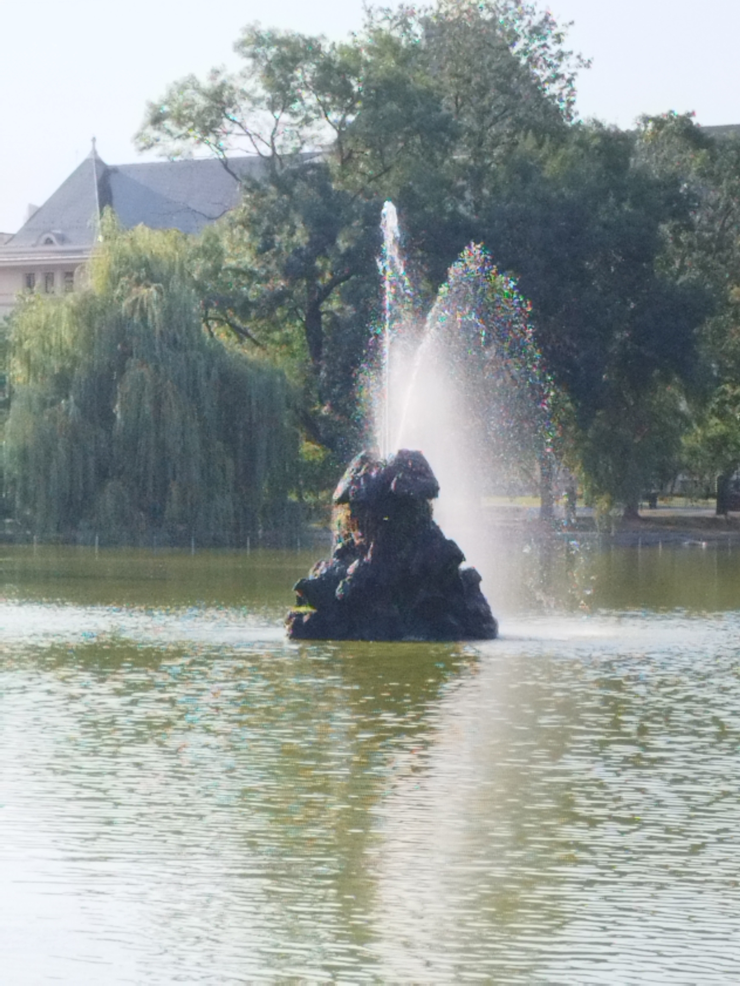 The image depicts a fountain spraying water in the middle of a lake. The fountain is a dark, rocky structure, and the water spray creates a misty effect, with some iridescent colors visible, possibly due to light refraction. In the background, there are lush green trees, including a large willow tree with cascading branches. Behind the trees, part of a building with a steep, grey roof is visible. The lake's surface is rippled, reflecting the surrounding greenery and the sky. The scene is situated in Herăstrău Park in Bucharest, Romania.