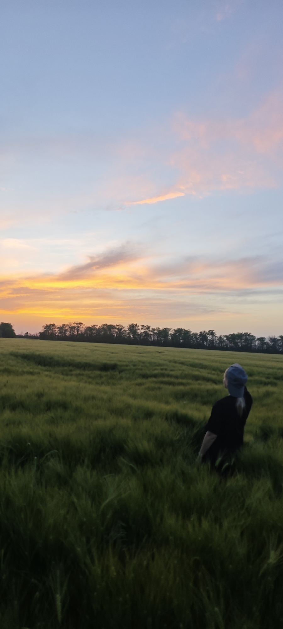 A person with blonde hair, wearing a dark shirt and a blue head covering, stands in a field of tall green grass. The grass appears to be a grain crop. The person is facing away from the camera, looking out at the landscape. In the background, a line of trees marks the horizon. Above the trees, the sky shows hues of orange, pink, and blue, suggesting either sunrise or sunset. The scene appears to be an open agricultural area, likely in a rural setting. It is not possible to confirm if the location is in Beysug, Russia from the image alone.