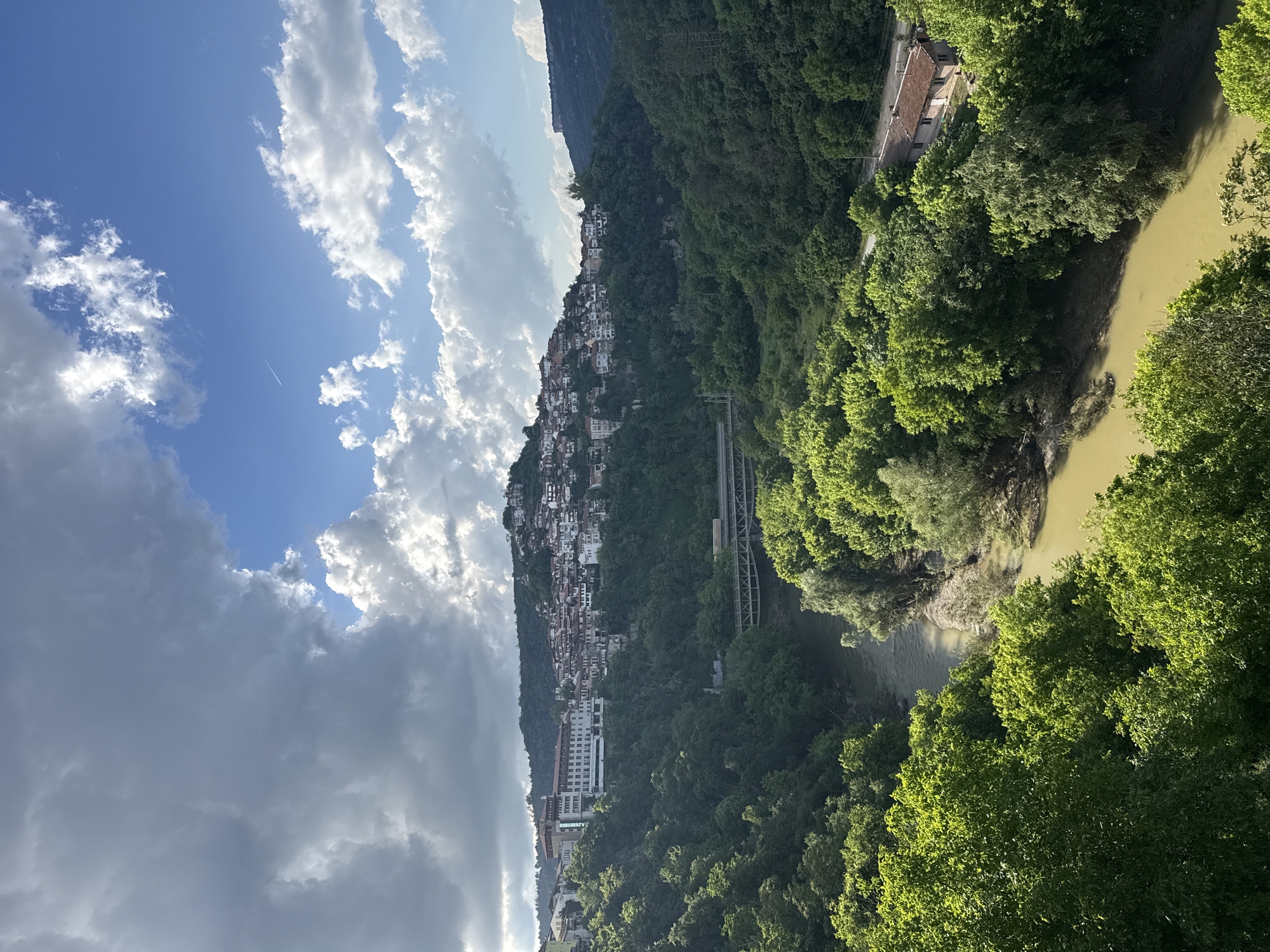 The image shows a landscape scene with Veliko Tarnovo, Bulgaria. A river winds through a densely forested area with buildings and structures dotting the hillside. The sky is partially covered with clouds. A town is situated on the steep slope, with buildings rising up the hill. There is a bridge spanning over the river. The river itself is murky, appearing light brown/greenish. The forests are lush and green.