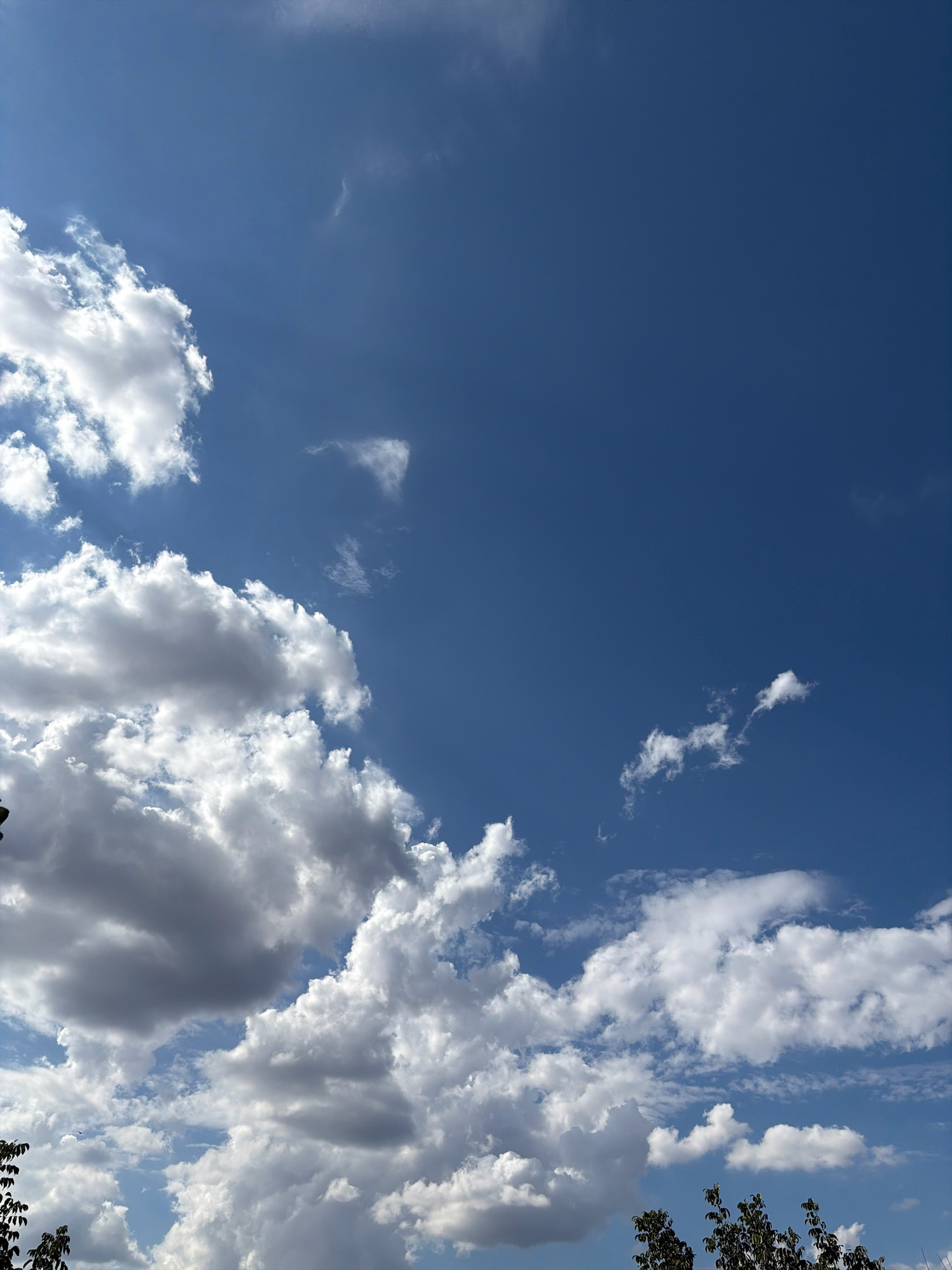 The image displays a bright blue sky with scattered clouds. The clouds vary in type and density, with some appearing wispy and thin, while others are larger and more cumulus-like, with shaded undersides suggesting depth. The lower portion of the image shows the tops of dark green leafy trees, indicating an outdoor setting. The scene appears to be captured from a ground-level perspective looking upwards. There are no people or specific man-made structures immediately visible that would pinpoint a location within Oxentea, Moldova, beyond the general presence of trees and open sky.
