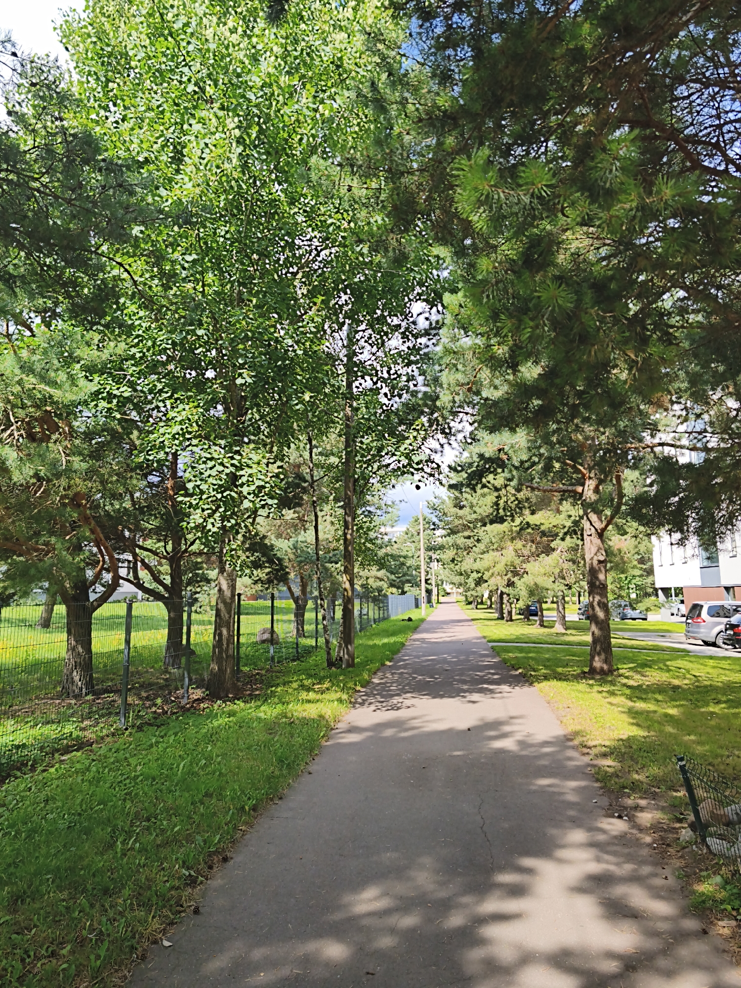 The image depicts a paved walkway flanked by lush green trees and grass, with a metal fence bordering the left side. In the distance, a building and parked cars are visible. The scene appears to be a well-maintained urban park or residential area, possibly in Tallinn, Estonia, given the context provided. The walkway is shaded by the trees, casting dappled patterns on the pavement. Sunlight filters through the leaves, illuminating patches of grass and the ground. The overall atmosphere is peaceful and serene, suggesting a pleasant day for a stroll.