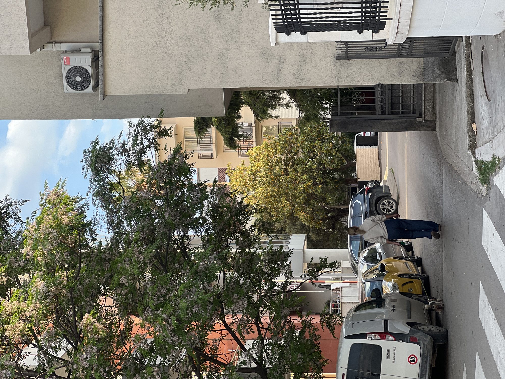 The image shows a street scene in Budva, Montenegro. A woman in a light-colored hoodie and dark pants is walking a small dog on a leash along a street lined with parked cars. The cars are various colors including gray, yellow, and black. The street runs between buildings with trees in the foreground and a crosswalk visible on the right. An air conditioning unit is mounted high on a building to the left.