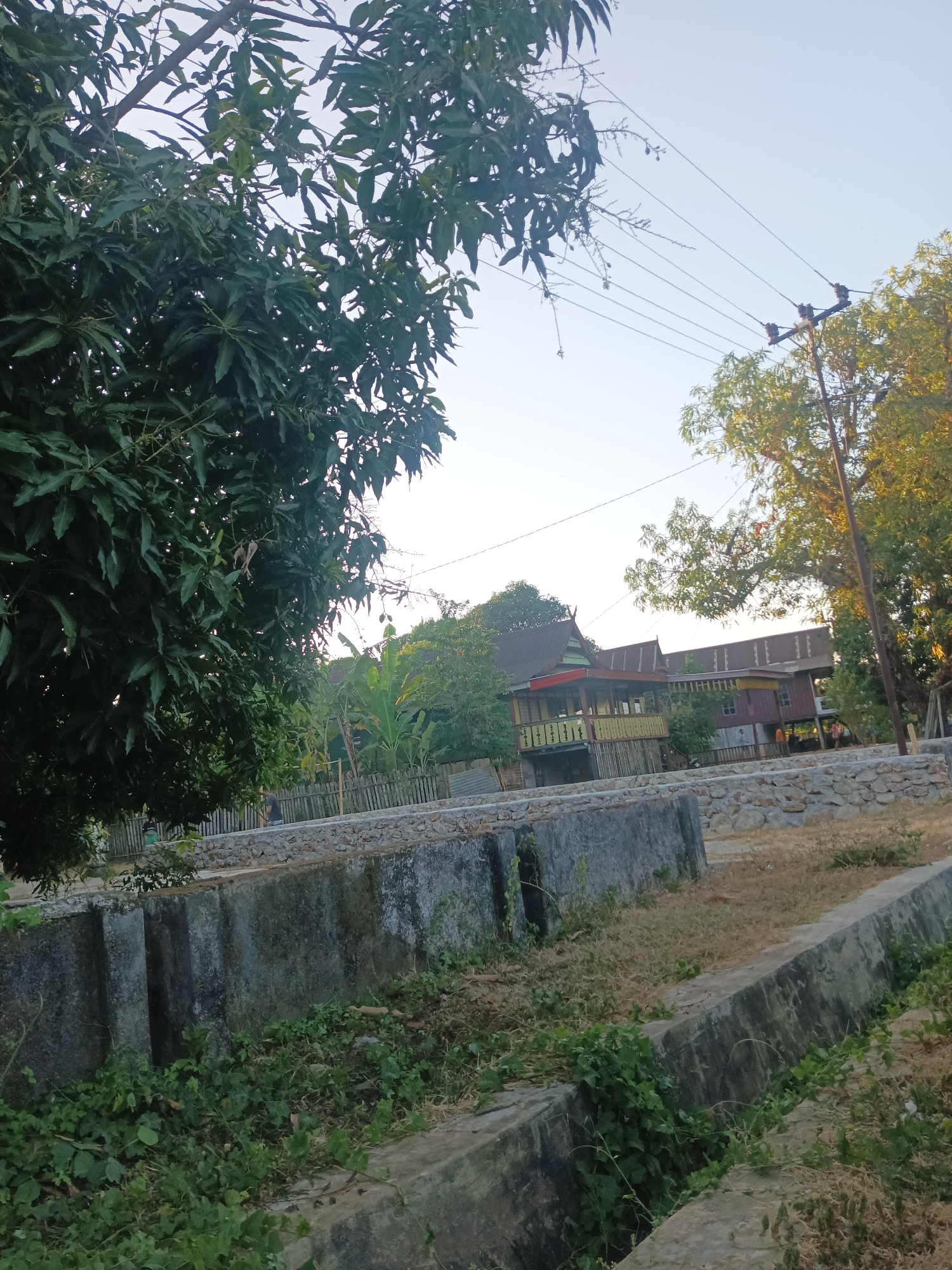 The image shows a street scene in Pangkajene, Indonesia. A large tree with dark green leaves is in the foreground on the left. In the middle ground, there are several houses with corrugated metal roofs. A stone wall runs along the edge of a concrete channel, with vegetation growing on its sides. Utility poles and wires are visible against a clear sky. The overall scene suggests a residential area with some vegetation and infrastructure.