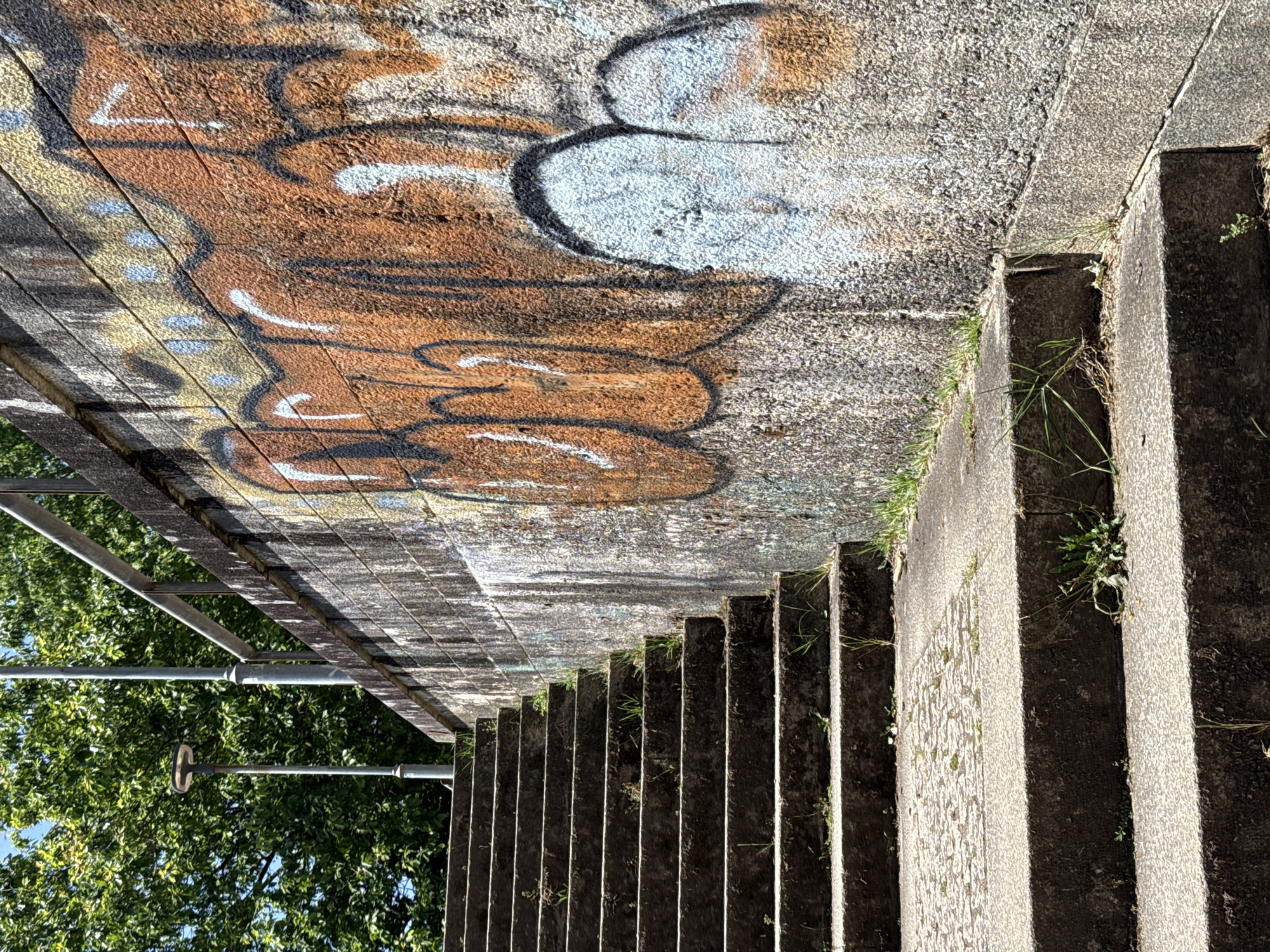 The image shows a concrete staircase descending alongside a concrete wall adorned with graffiti. The graffiti features brownish-orange tones outlined in black, with highlights in white and bluish-gray. Vegetation, including blades of grass, grows along the edge of the staircase where it meets the wall. A metal railing is visible on the left side of the staircase, with greenery from trees behind it. The stairs are in the shadow of the wall. The image is rotated 90 degrees counter-clockwise. The location is Santiago De Compostela, Spain.