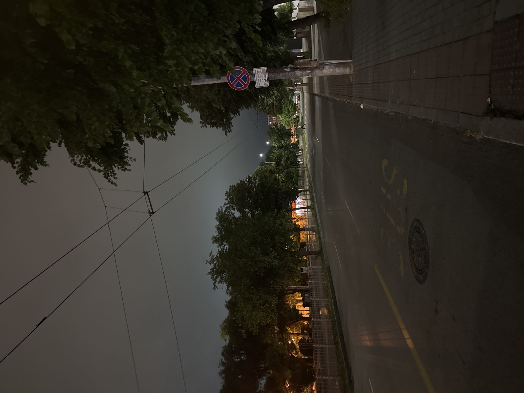 This is a nighttime photograph of a wet urban street, likely in Bulgaria due to the Cyrillic text on the street sign. The scene is illuminated by streetlights and ambient light from buildings. The sky is a uniform, dark grey, indicating overcast conditions.
In the foreground, a dark asphalt road, visibly wet and reflective, dominates the lower half of the image. Faded yellow road markings, including a solid line on the left and the word "BUS" stenciled in yellow, are present. A circular manhole cover is visible within the "BUS" marking. The road extends into the distance, appearing to curve slightly right. Overhead, a complex network of trolleybus power lines crisscrosses the sky.
On the left side of the road, a row of dense green trees, some appearing quite dark, borders a metal fence. Behind these trees, distant streetlights and illuminated windows from unseen buildings provide faint orange and yellow light.
On the right side, a paved sidewalk composed of rectangular blocks runs parallel to the road. A tall, weathered utility pole stands centrally on this sidewalk. Attached to the pole is a circular "No Stopping" sign (blue background, red diagonal cross) with a white border. Beneath it, a rectangular white sign with black Cyrillic text reads: "Зона регулирана от местен акт "Паркиране"" (Zone regulated by local act "Parking"), confirming the Bulgarian language. Large, leafy green trees line the sidewalk, partially obscuring the view of buildings further down the street, some of which exhibit faint illumination.
A single individual, dressed in light-colored clothing, is visible in the mid-distance, walking from the right side of the street towards the left. No vehicles are visible.